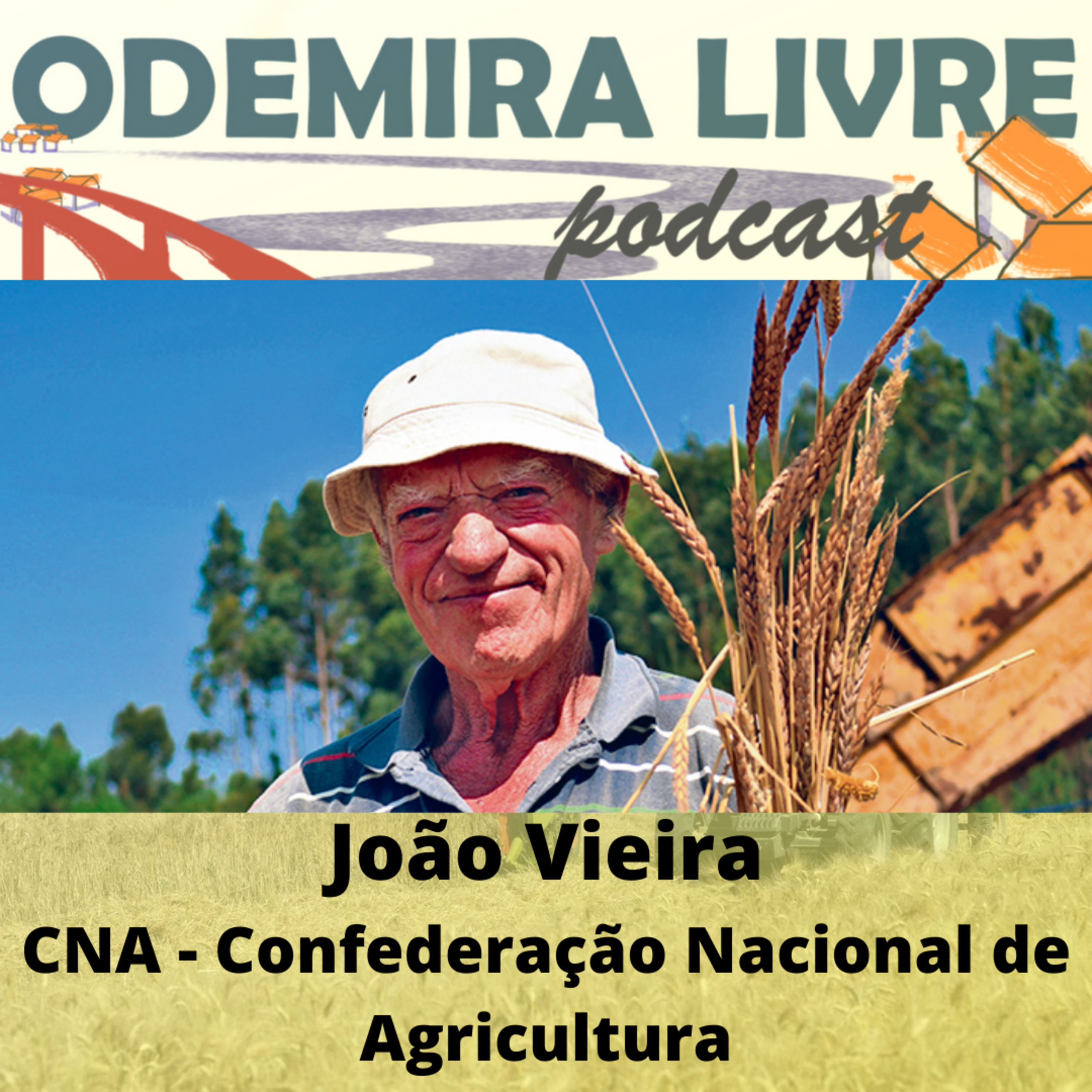 #30 - João Vieira sobre produção de cereais em Portugal episode artwork