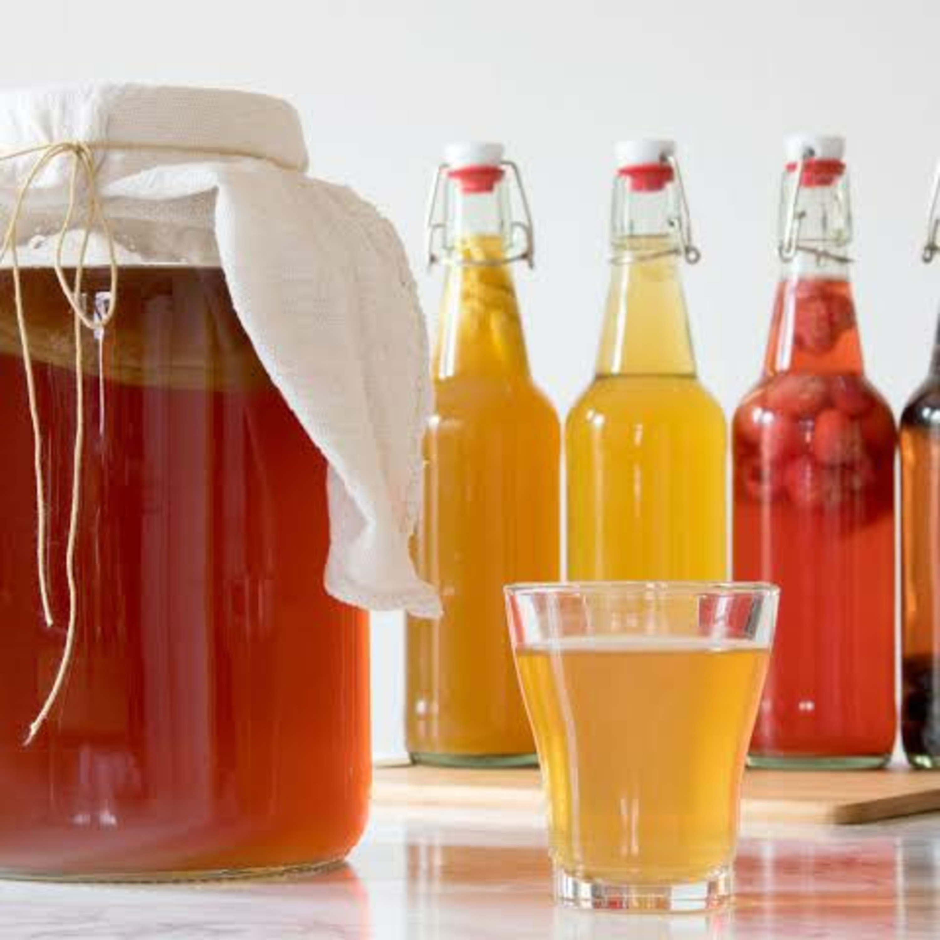 Kombucha 