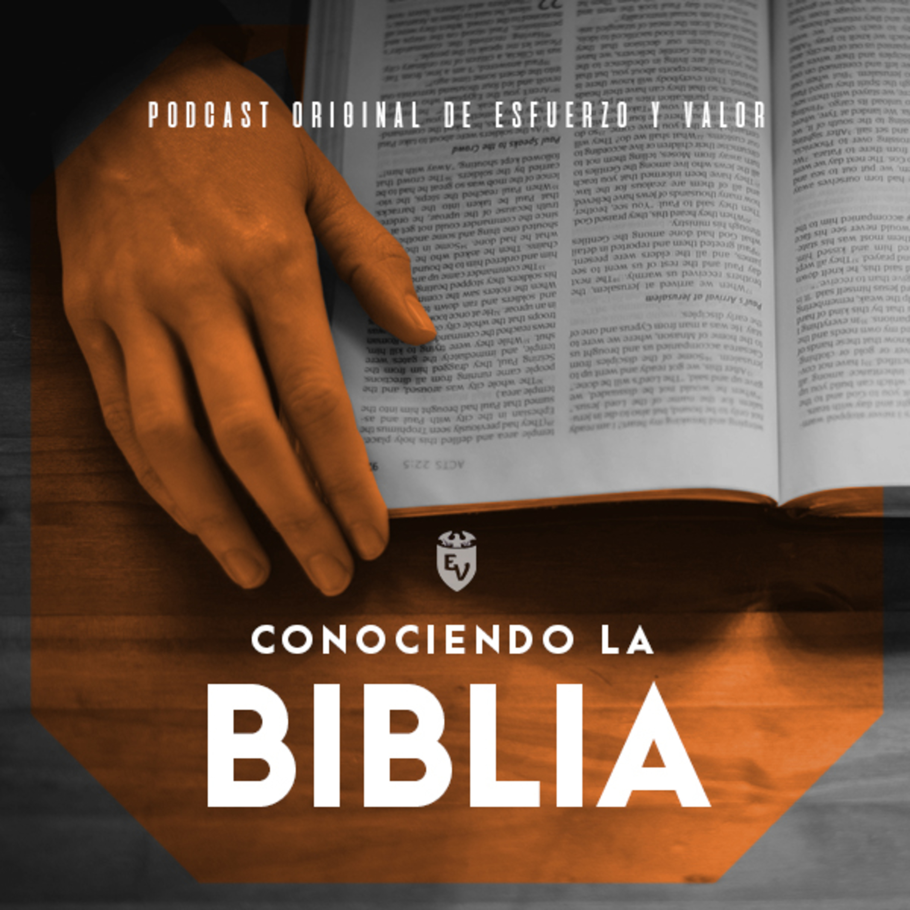Conociendo la Biblia --Tema 4-- episode artwork