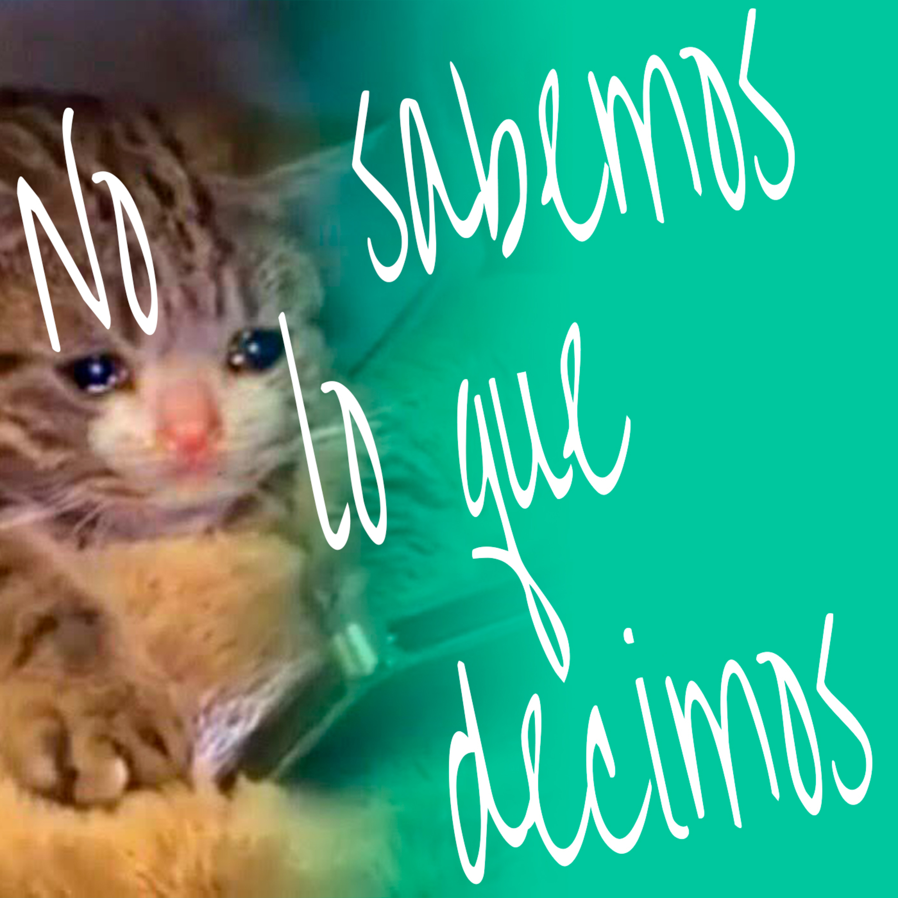 No Sabemos Lo Que Decimos