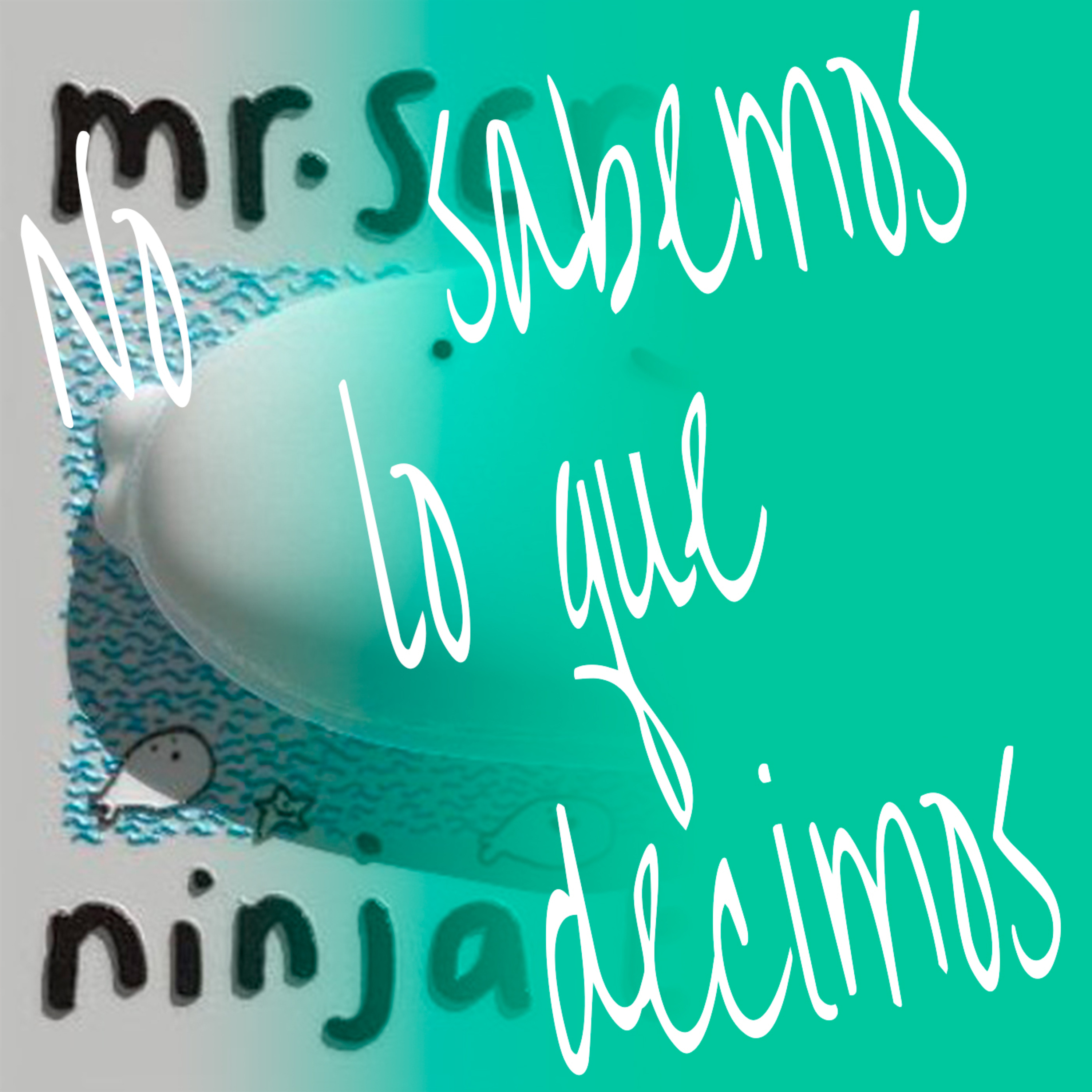 No Sabemos Lo Que Decimos