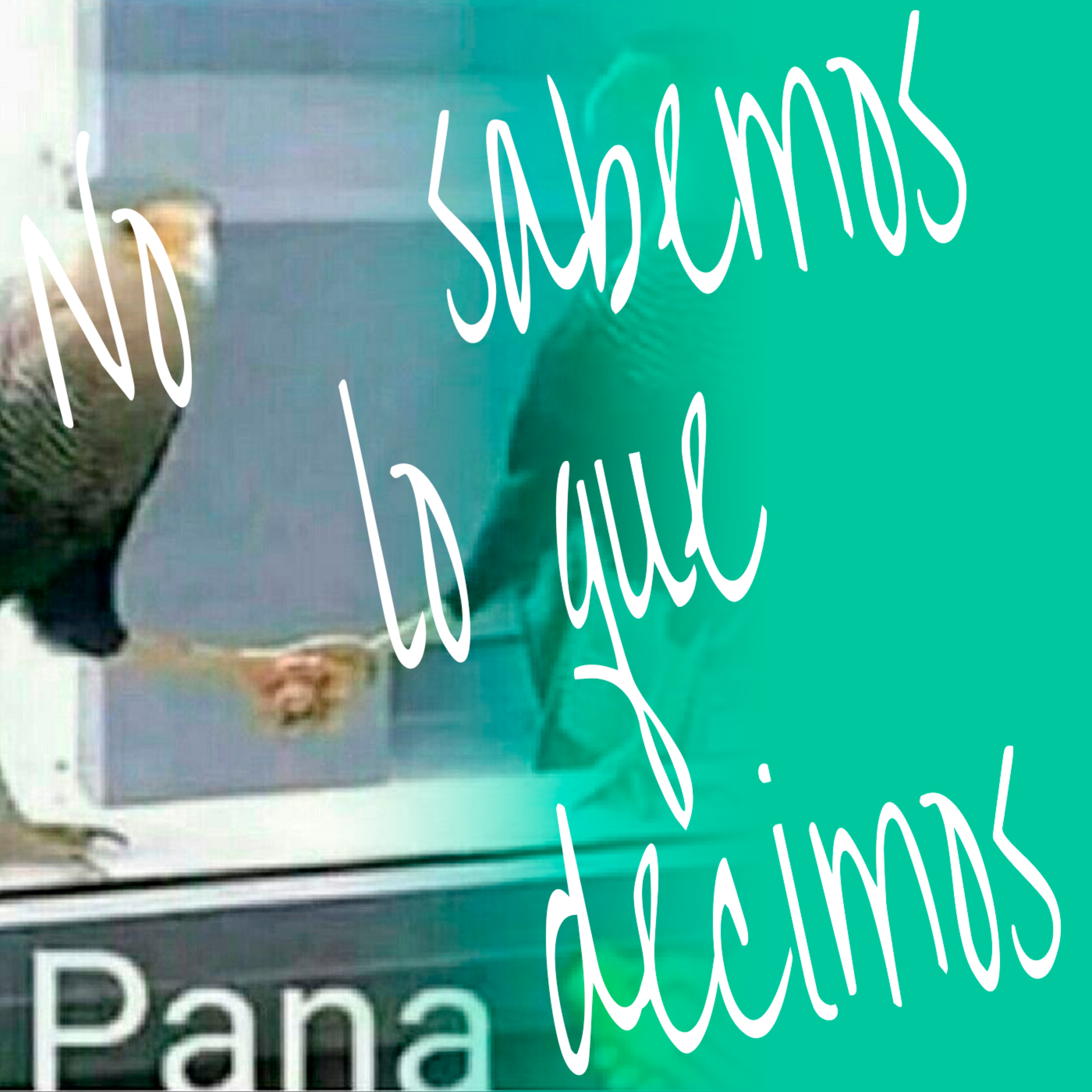No Sabemos Lo Que Decimos
