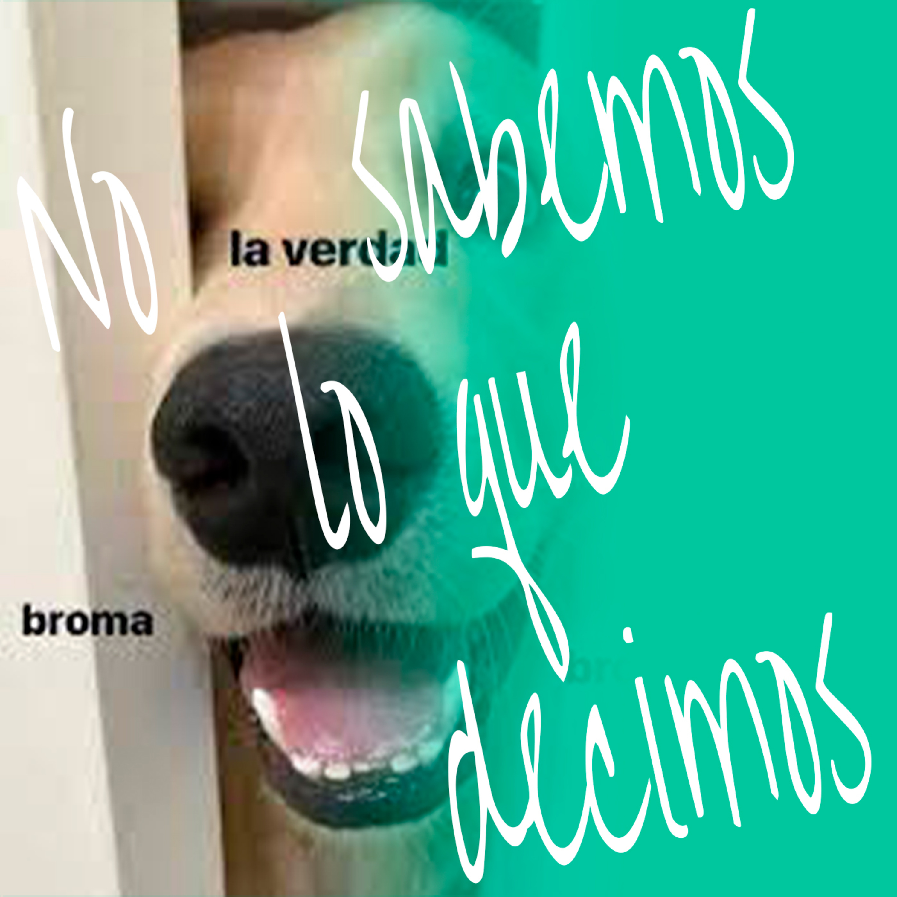 No Sabemos Lo Que Decimos