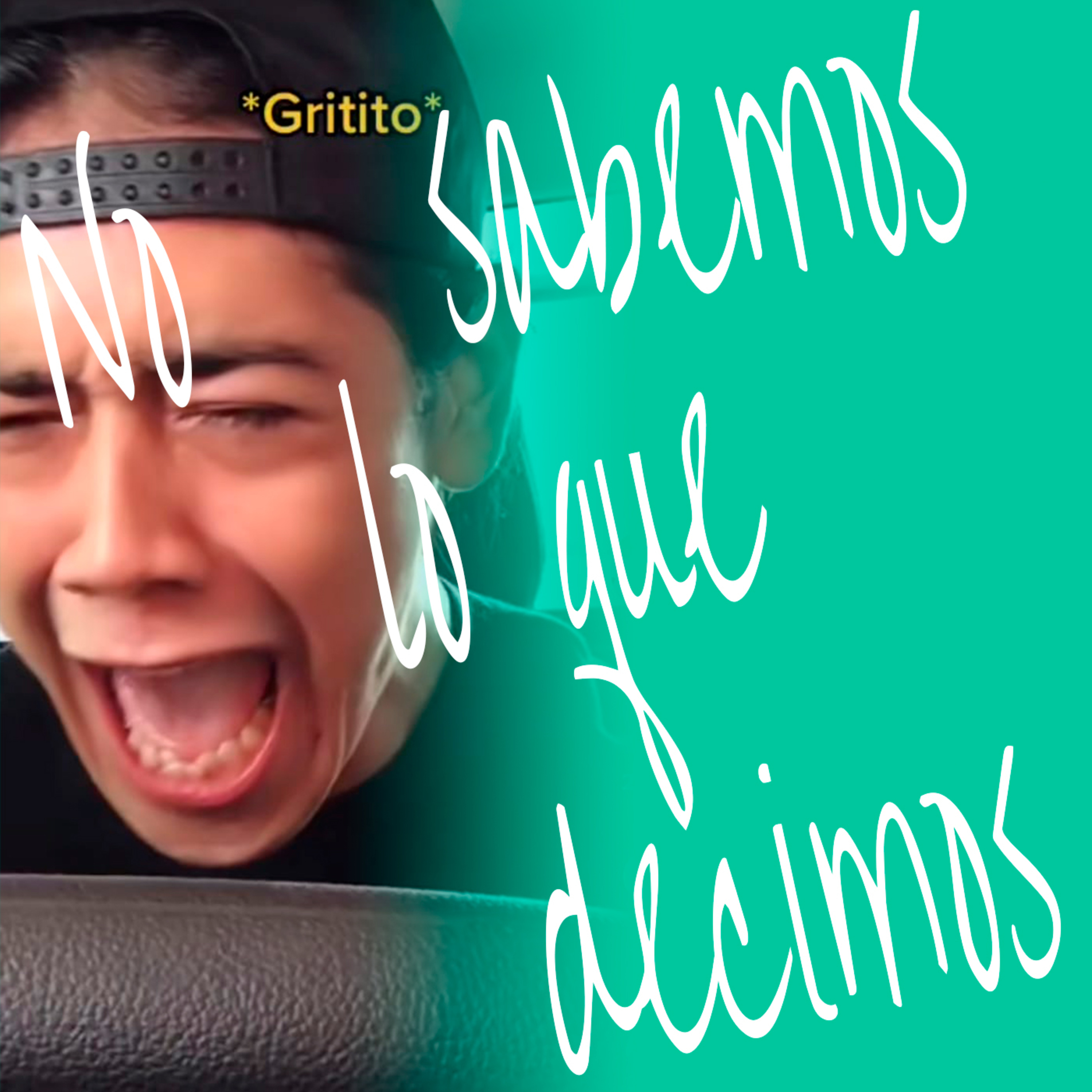 No Sabemos Lo Que Decimos