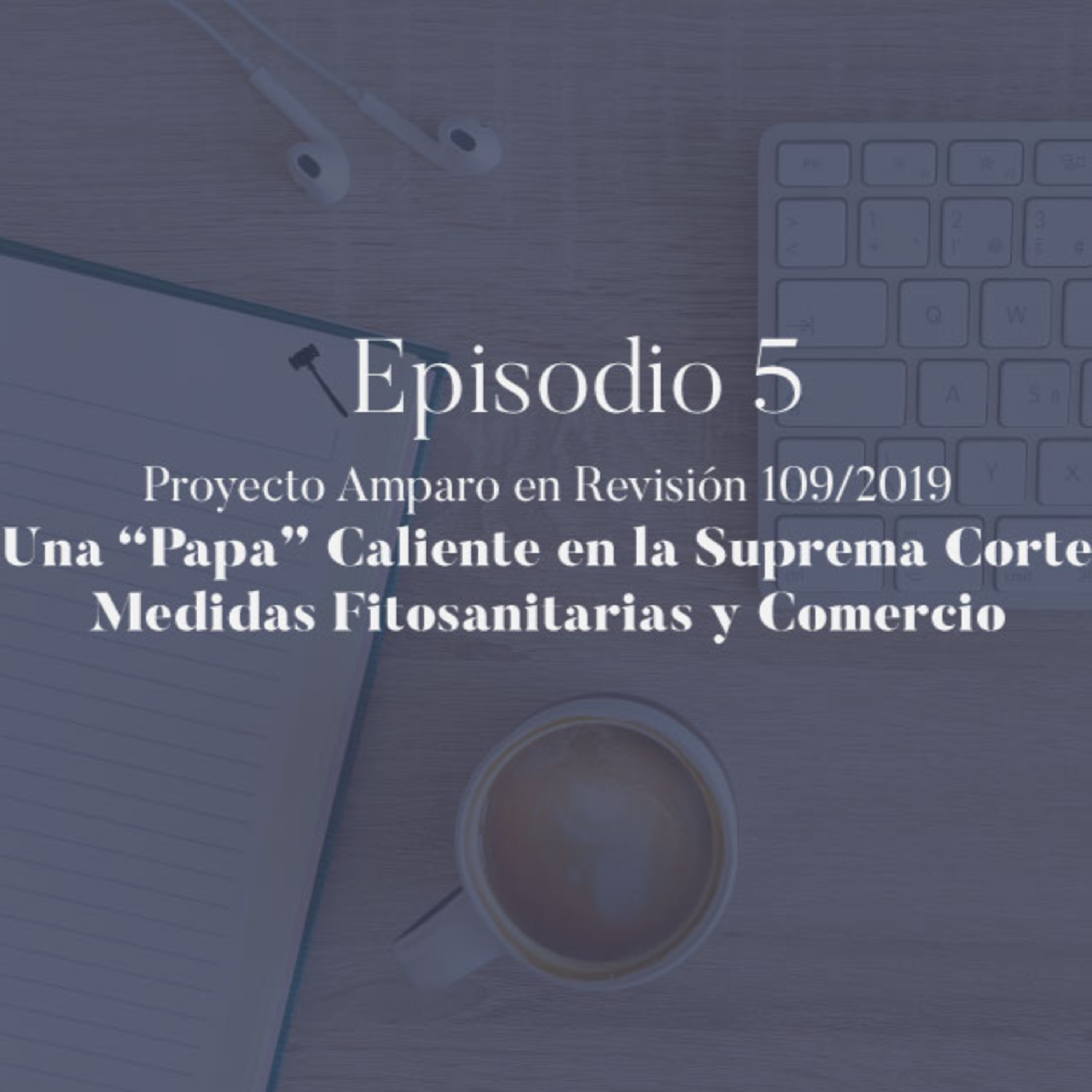 Precedentes y Negocios