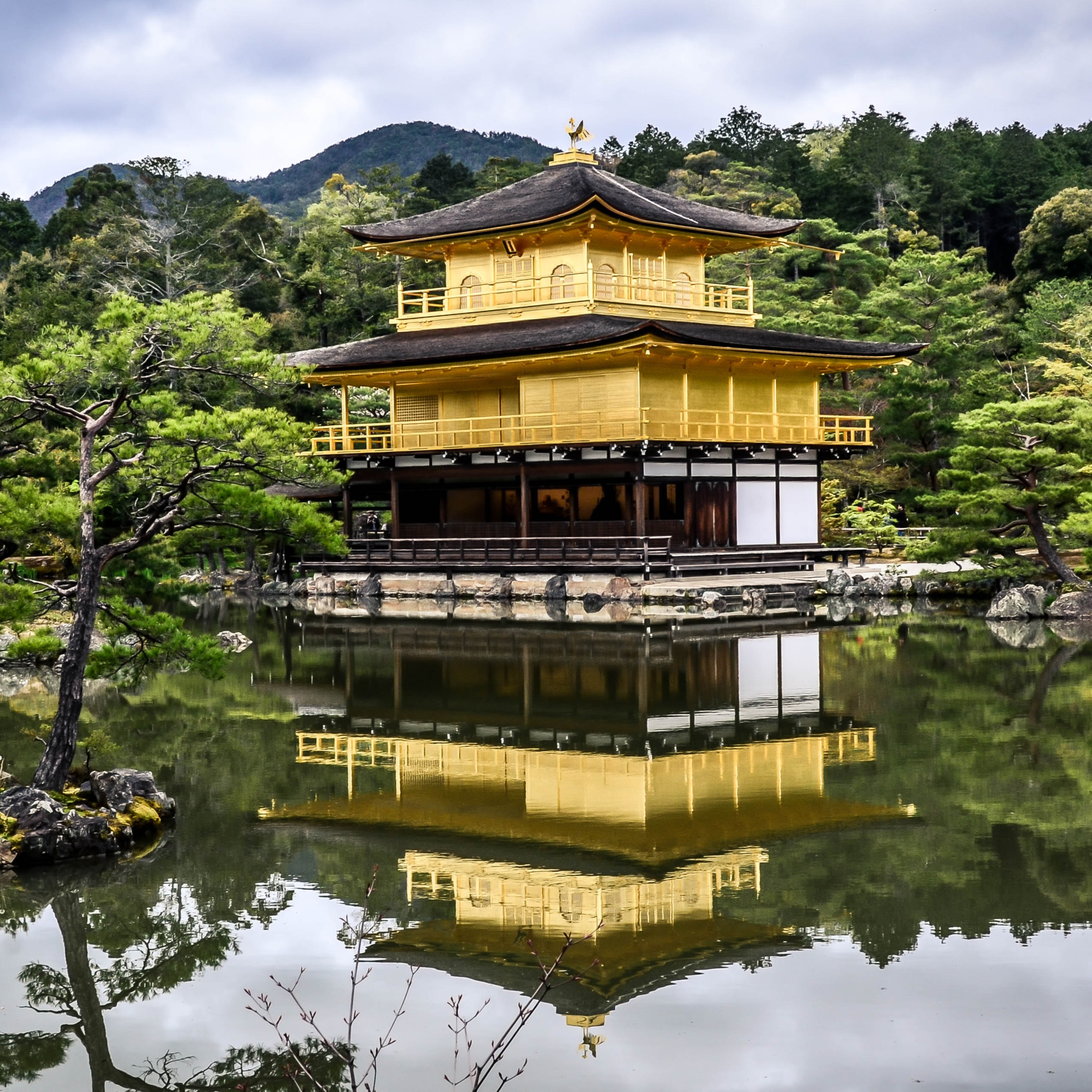 14. Japanese Garden Relaxing Zen Sound + Flute + Soft piano | Soothing SoundX Relax episode artwork