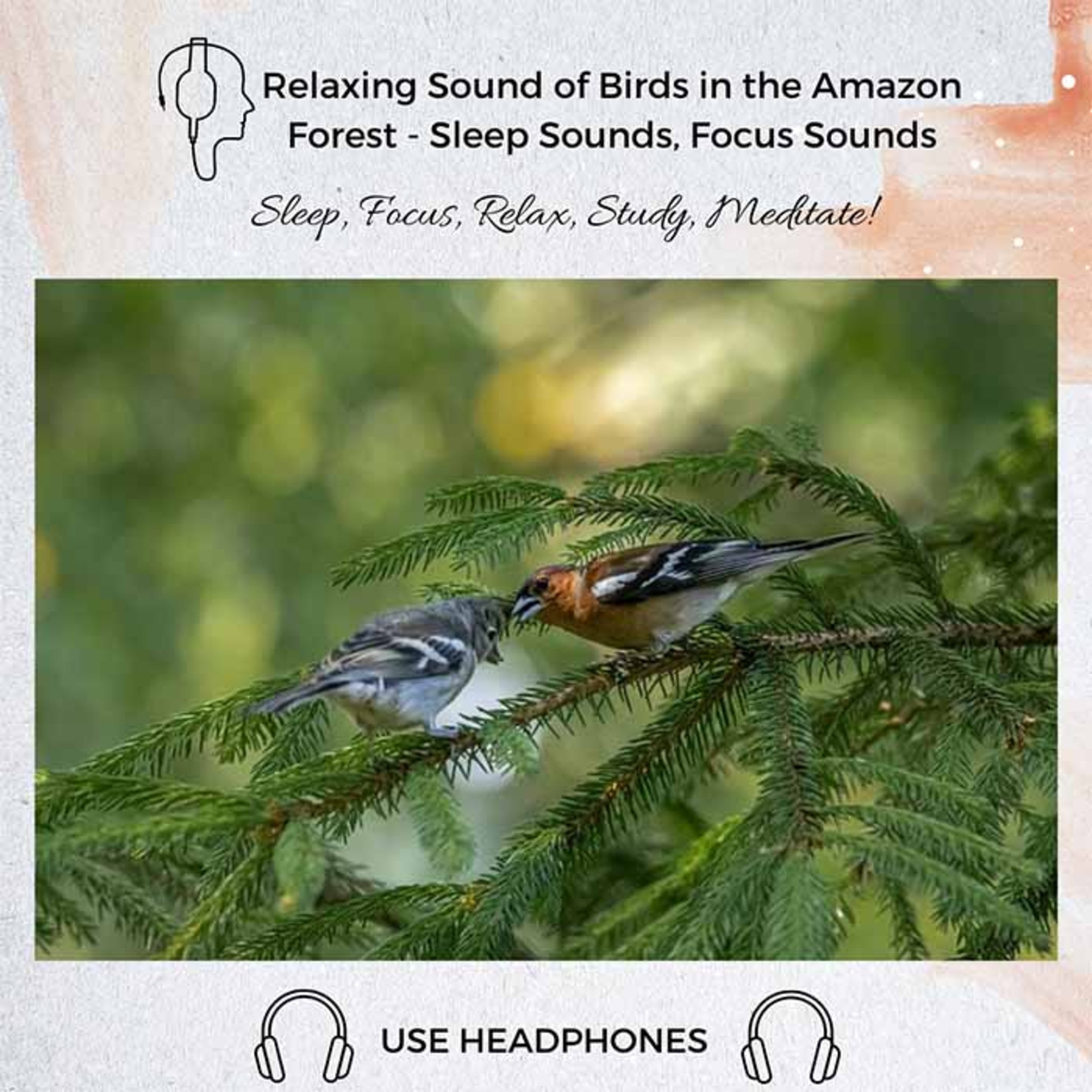 60. Relaxing Sound of Birds in the Amazon Forest | Relaxing, Sleep Sounds episode artwork