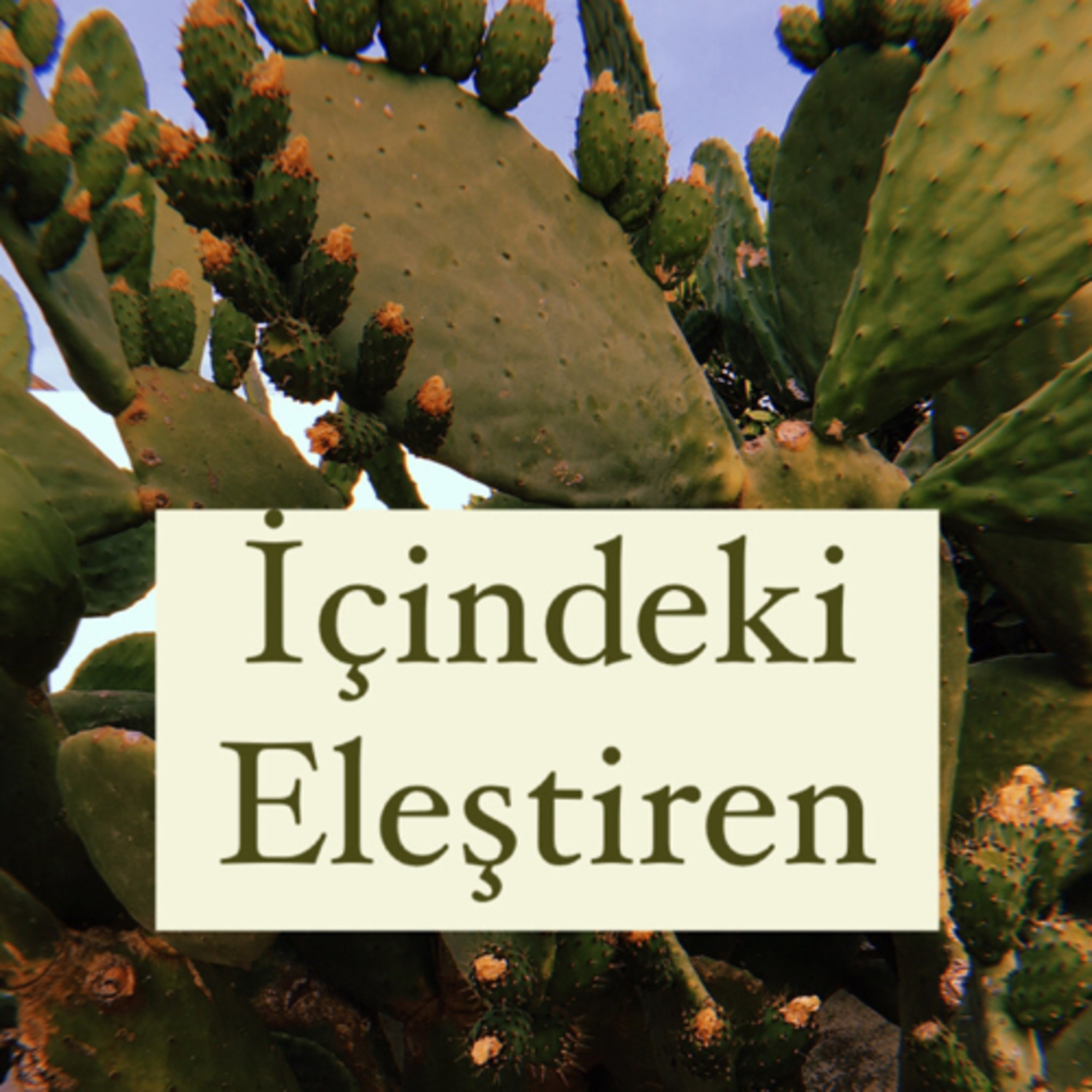 Duygu Ajandası