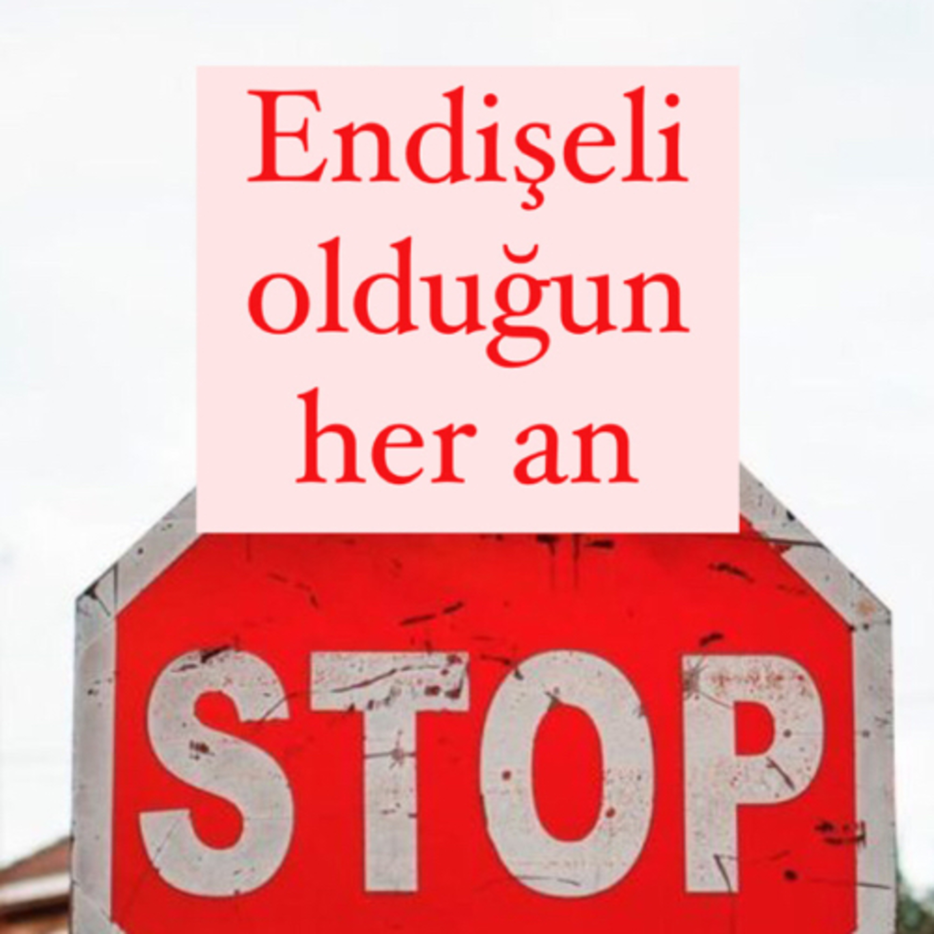 Duygu Ajandası