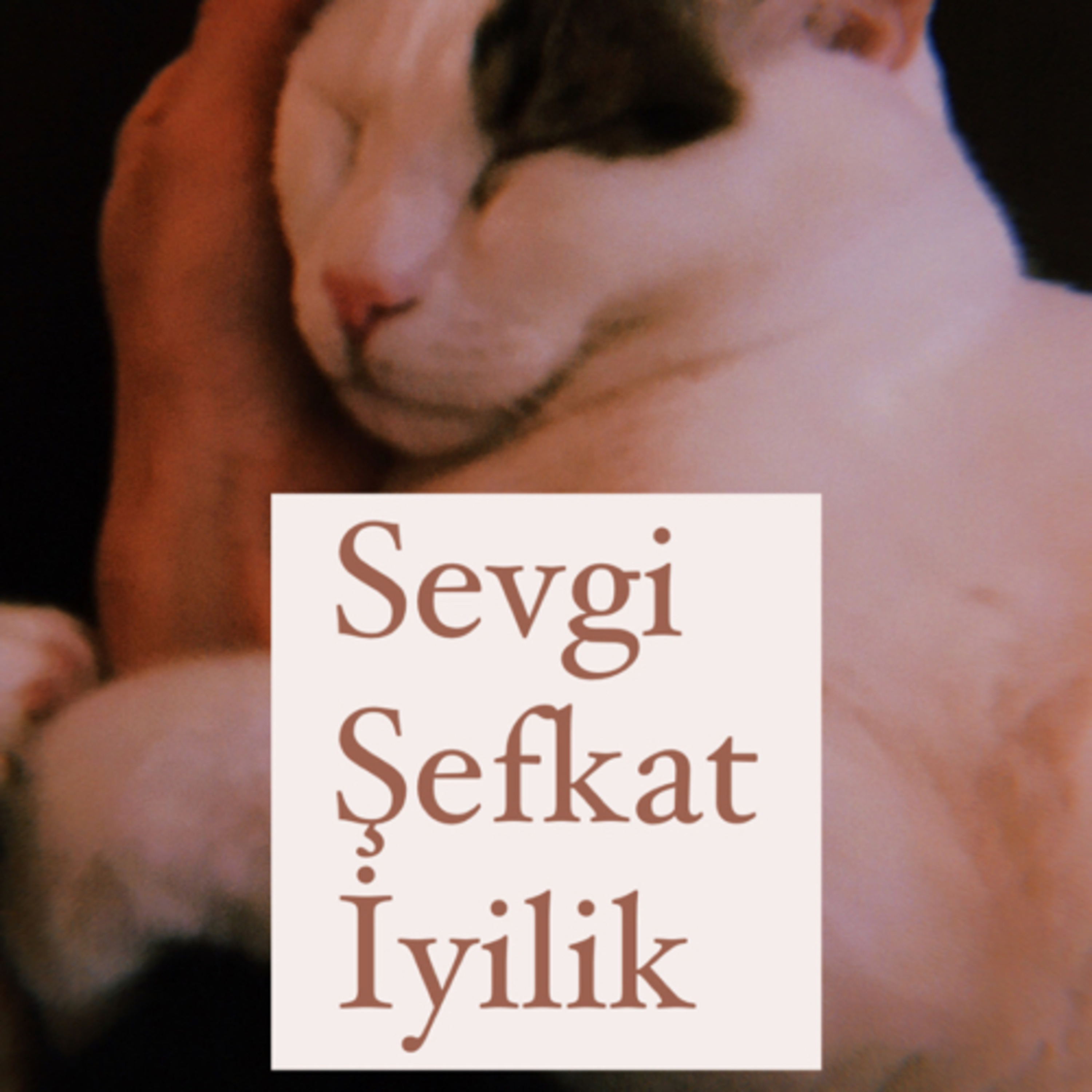 Duygu Ajandası