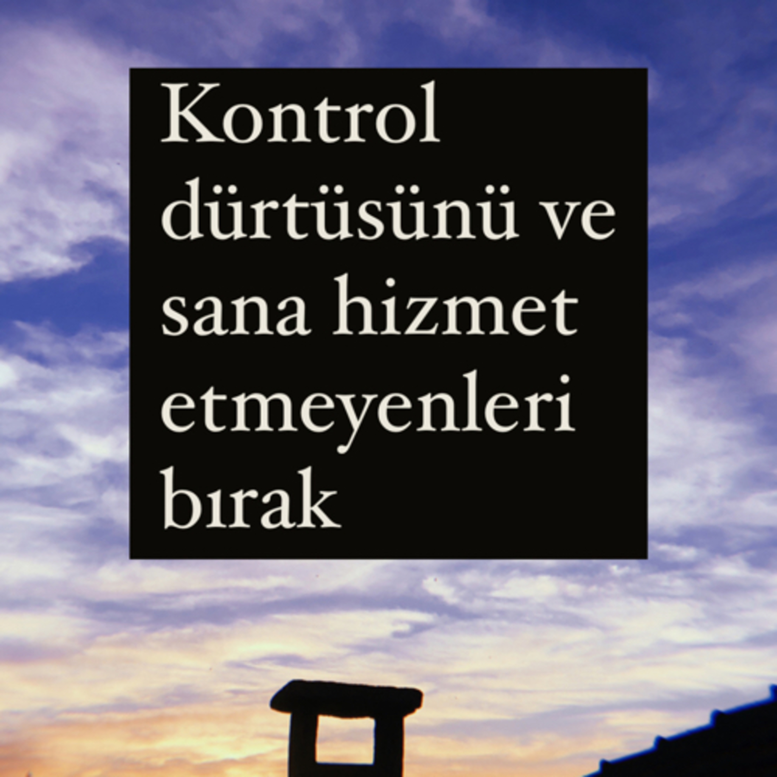 Duygu Ajandası