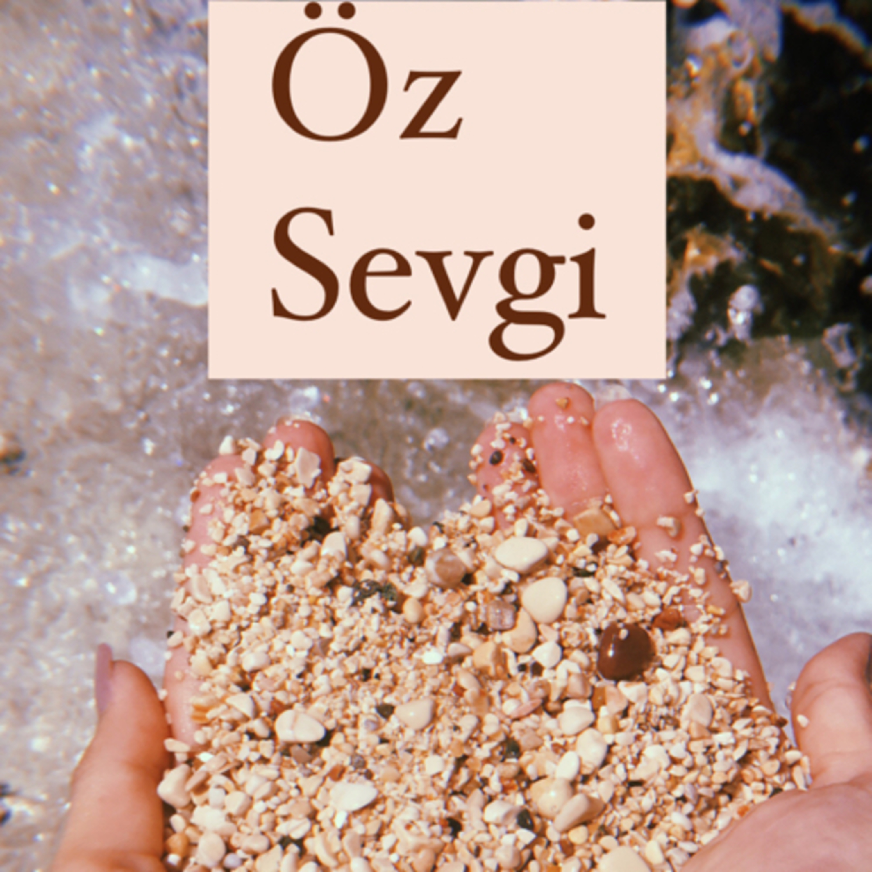 Duygu Ajandası