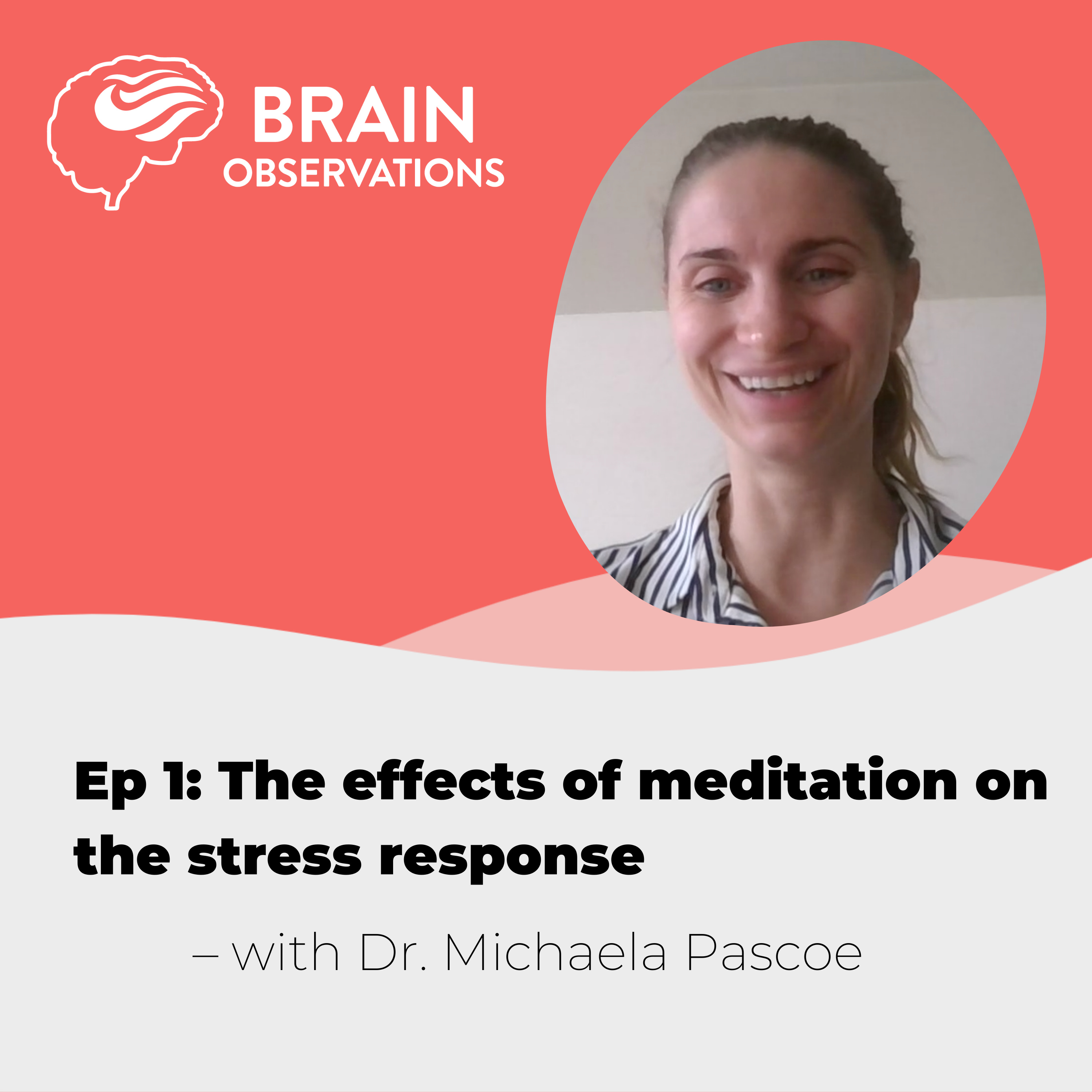 Brain Observations - Where neuroscience meets the human experience