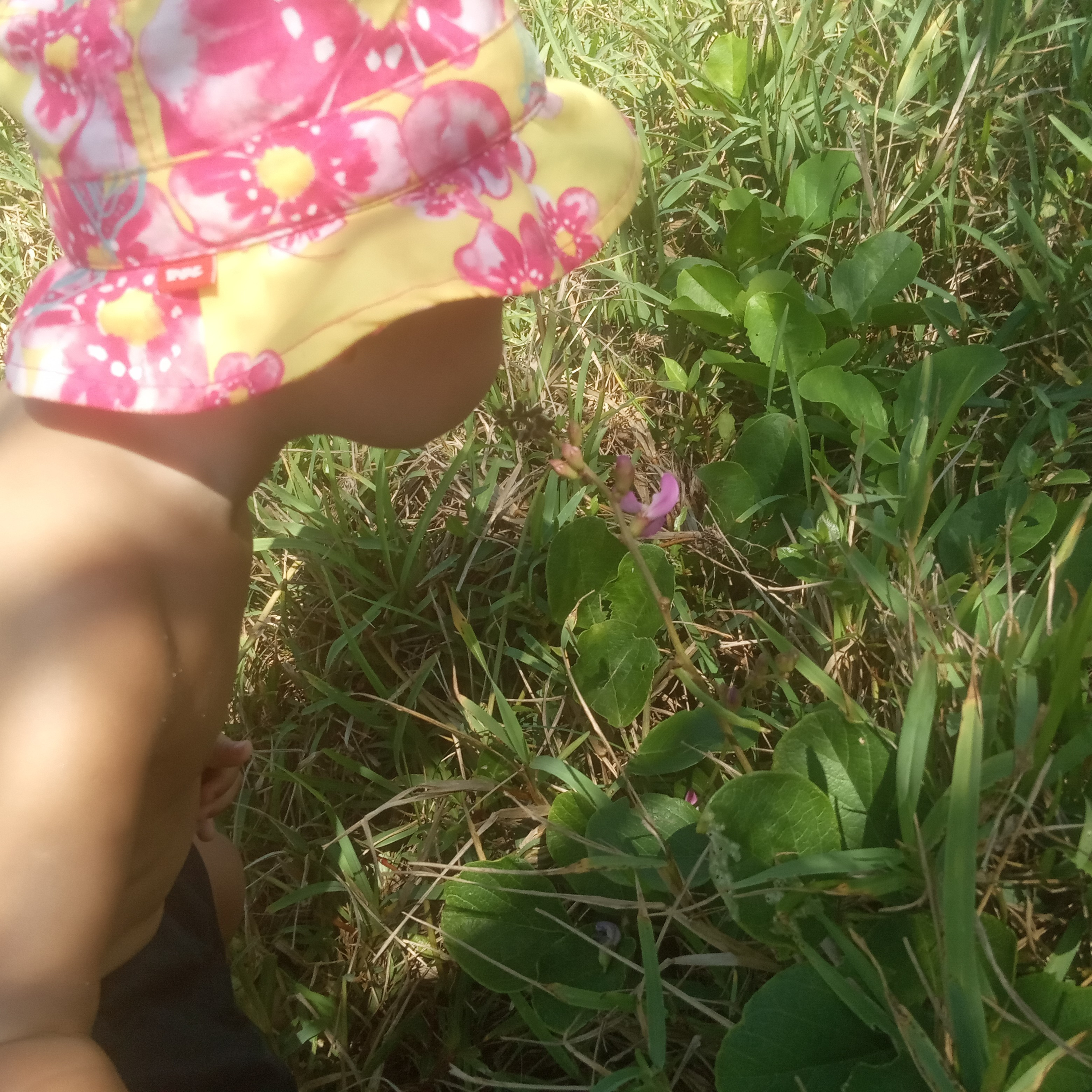 Diário De Uma Aromaterapeuta Rasta
