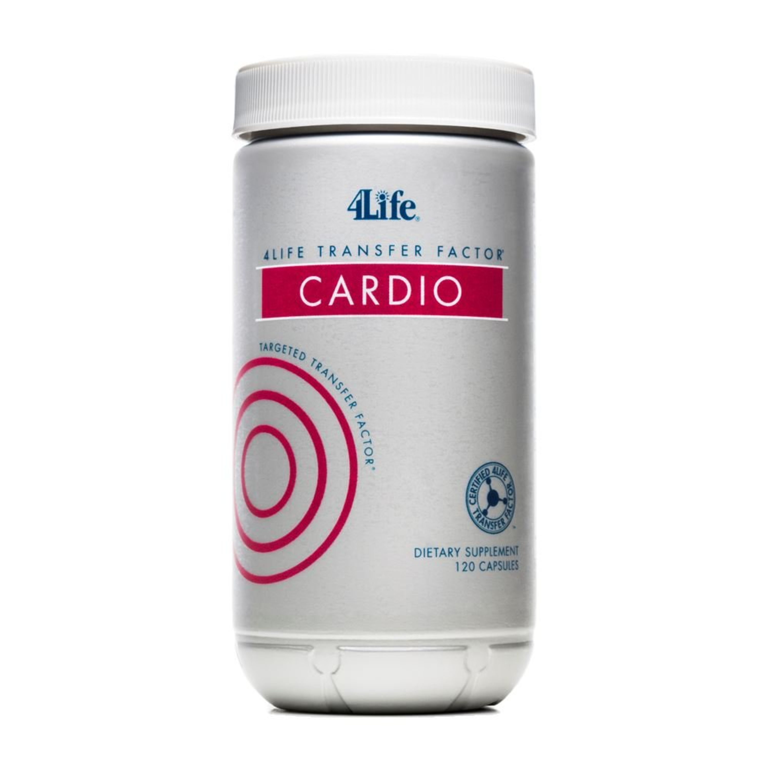 Social Economic Networkers