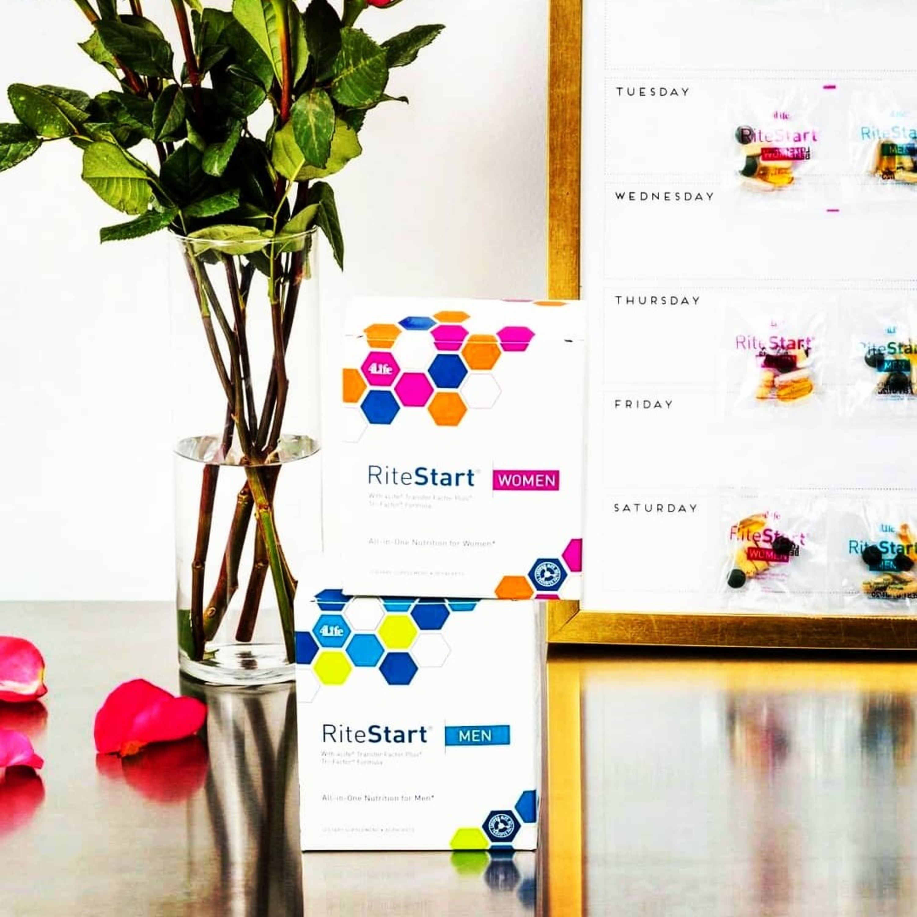 Social Economic Networkers