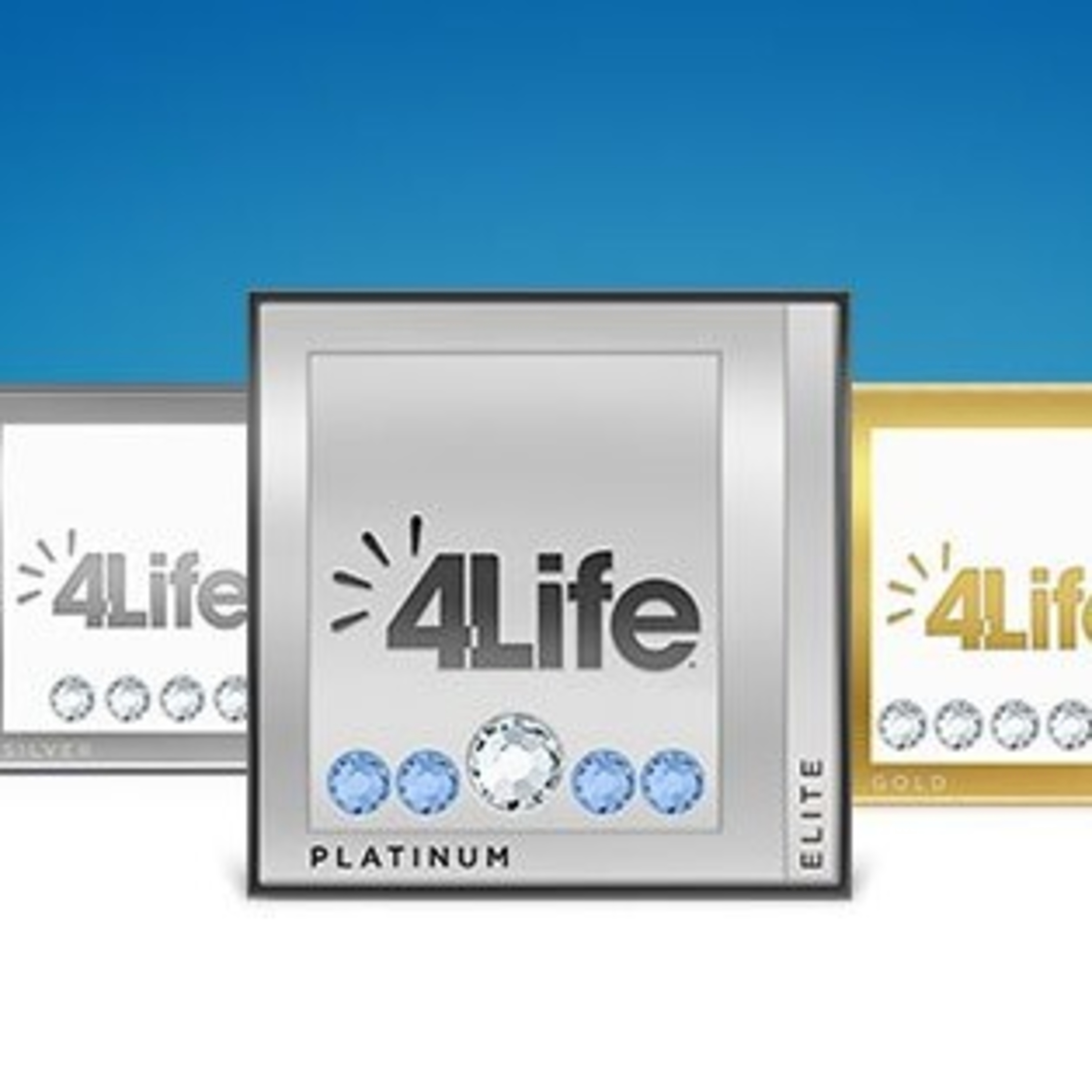 Social Economic Networkers