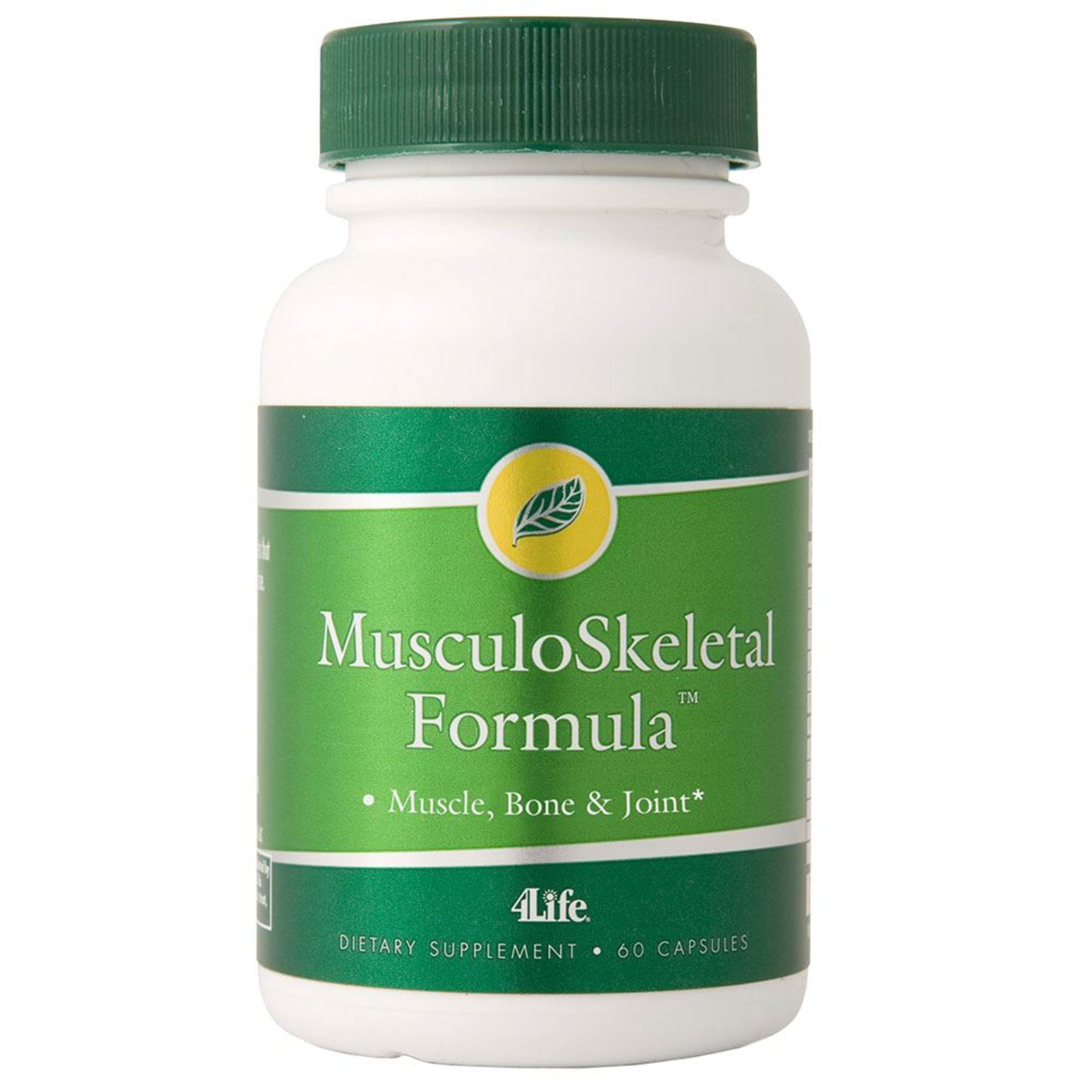 Social Economic Networkers