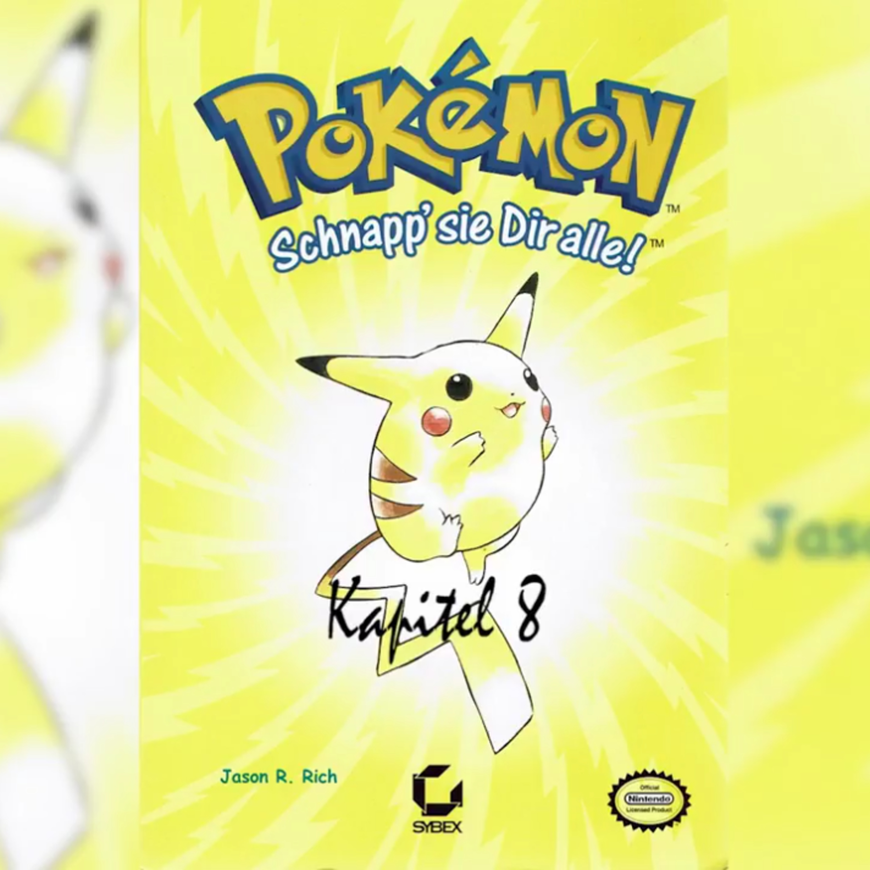 Pokemon Buch - Kapitel 8