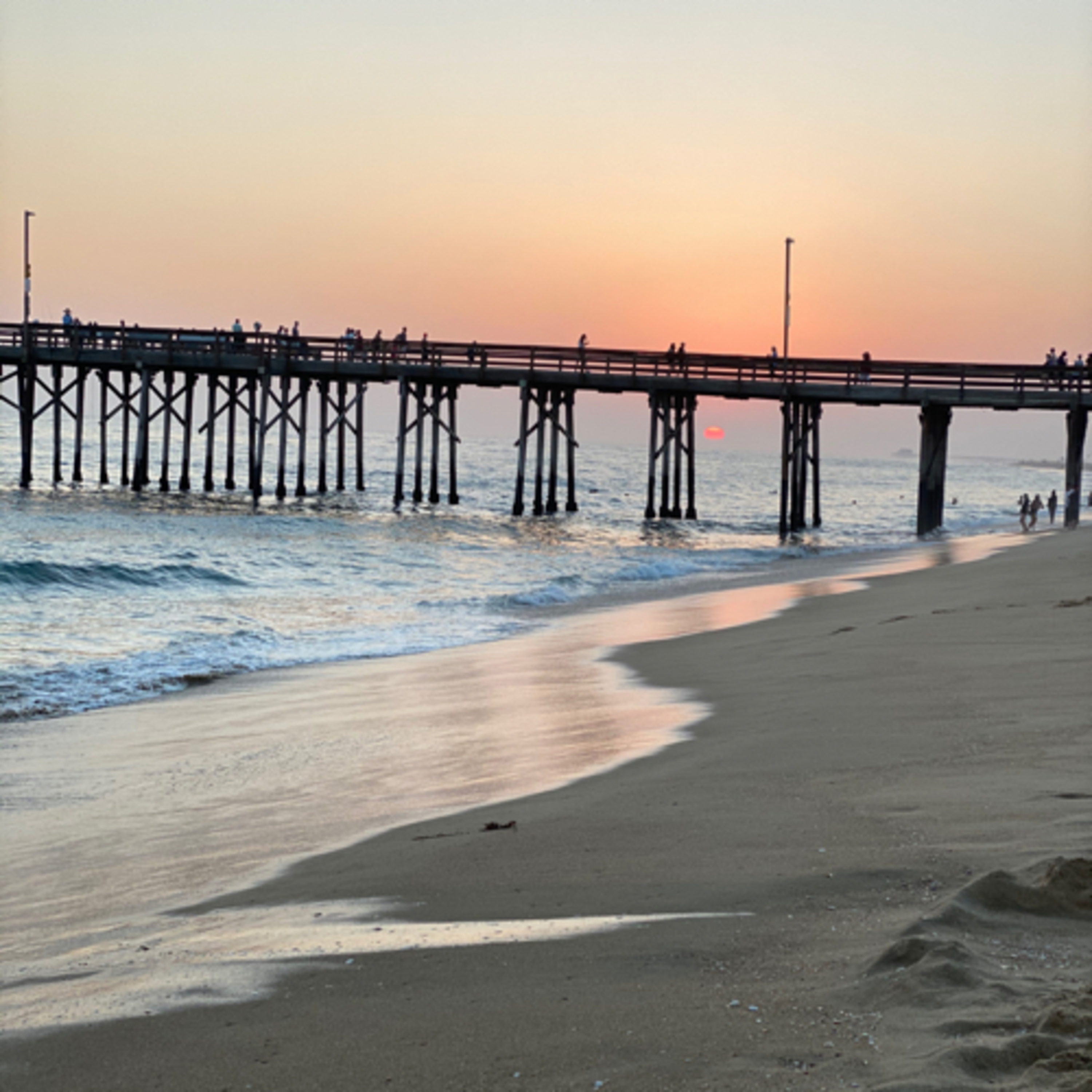 The Beach and Bendi