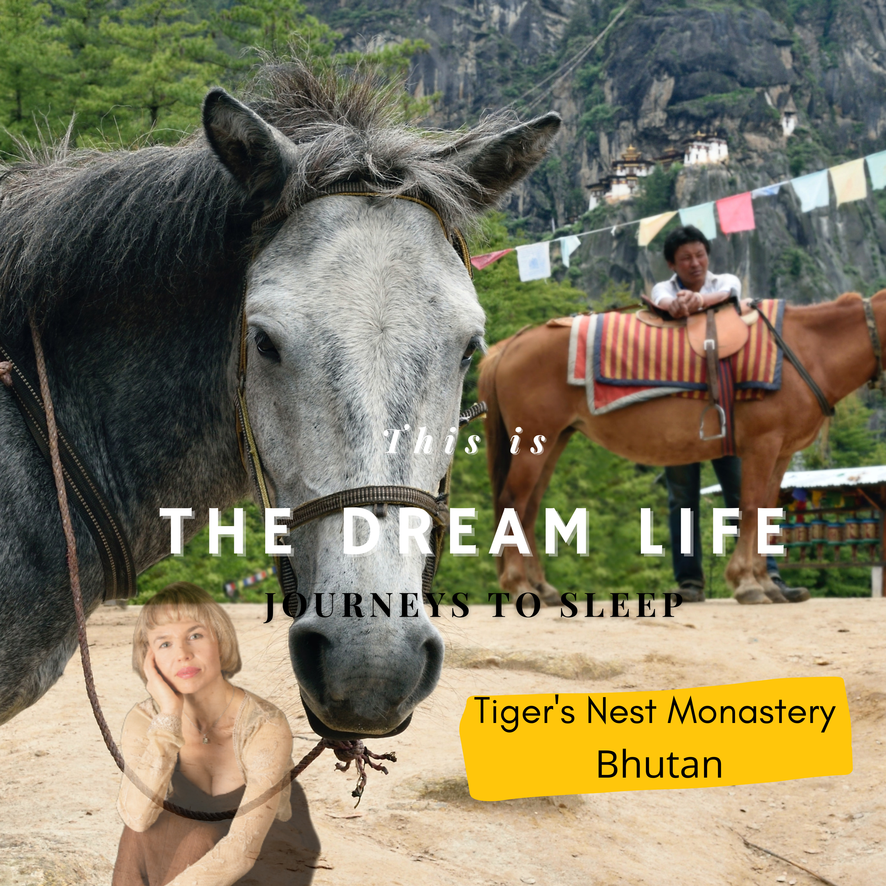 This is the Dream Life: Journeys to Sleep
