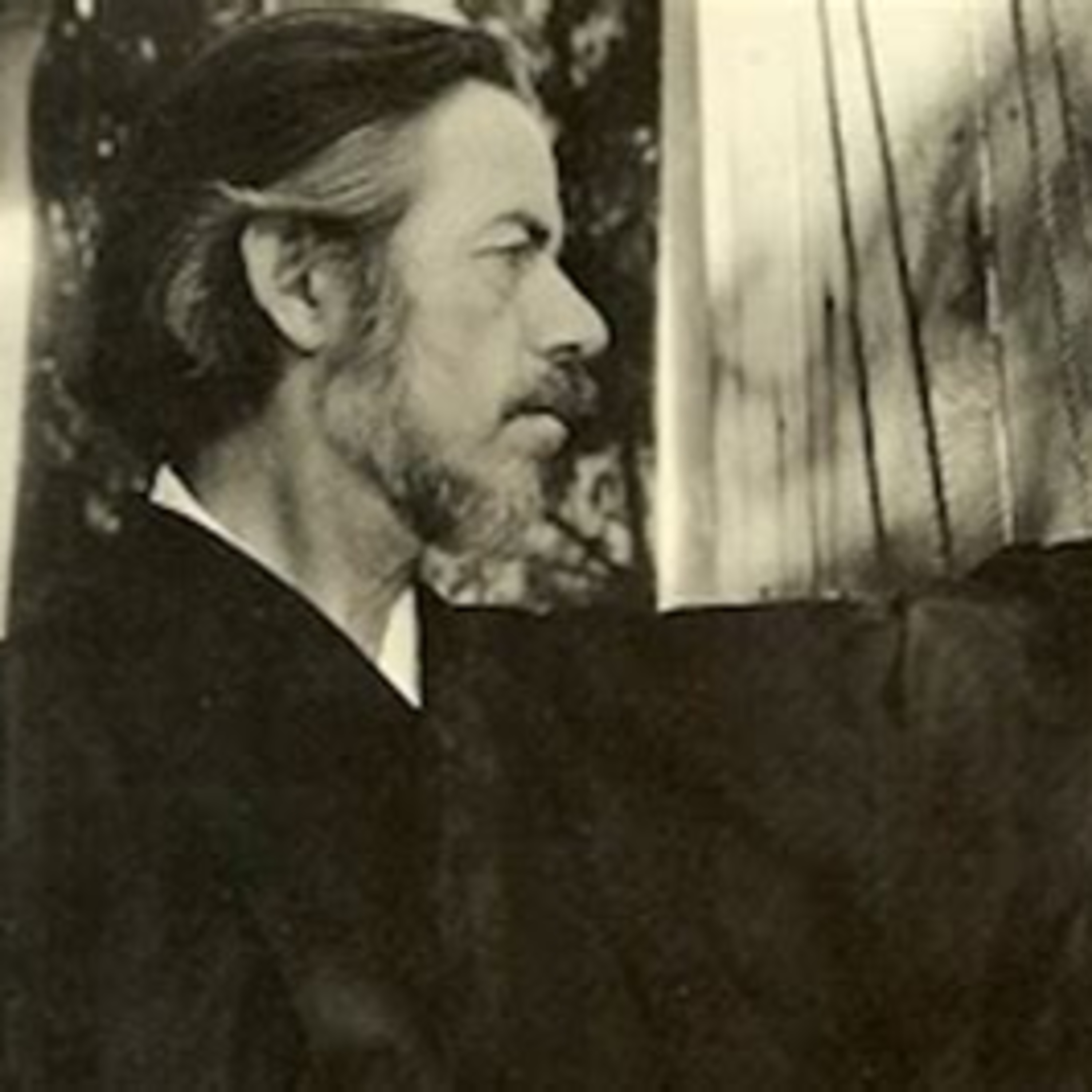 Vida Psicodélica