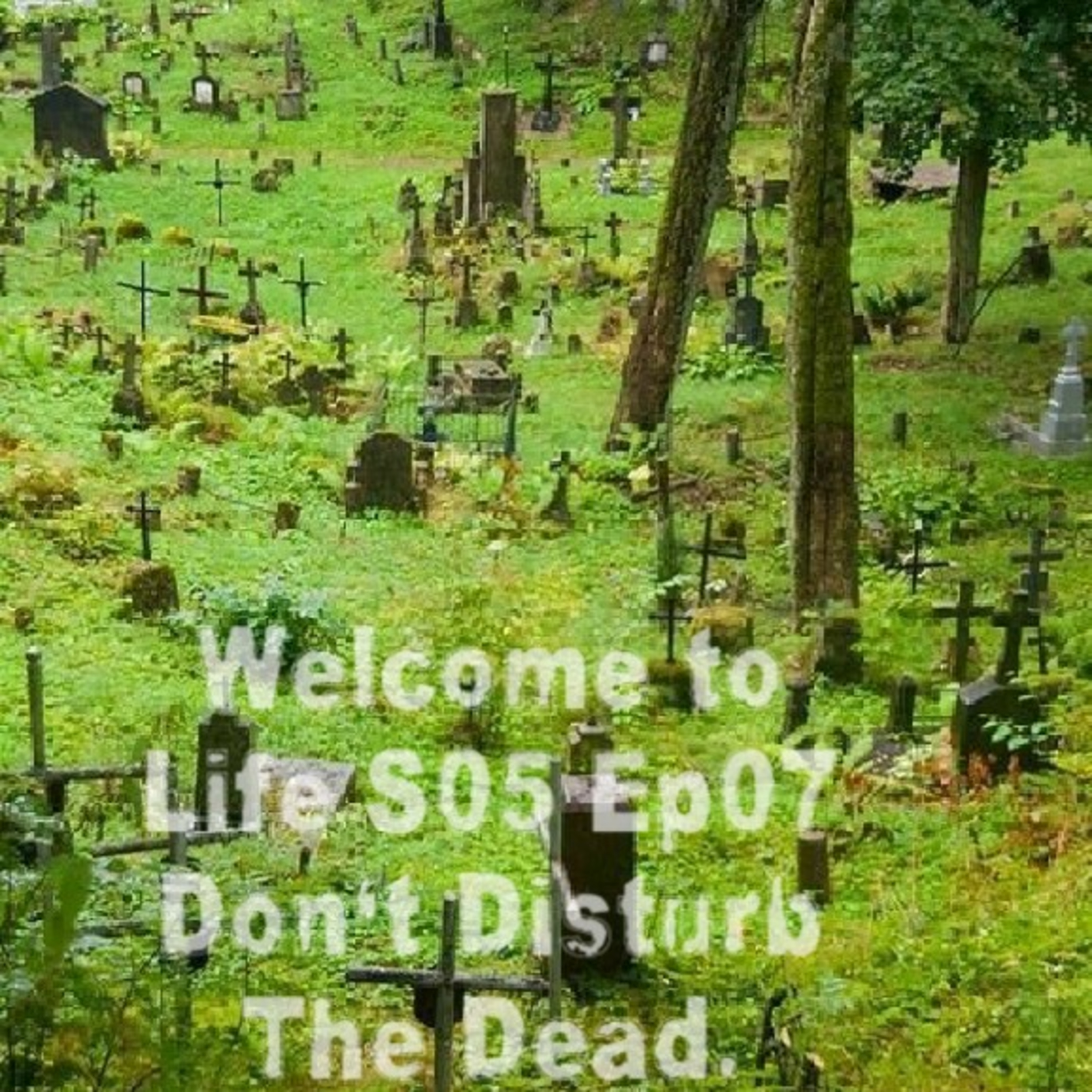 Welcome to Life With Jimmy