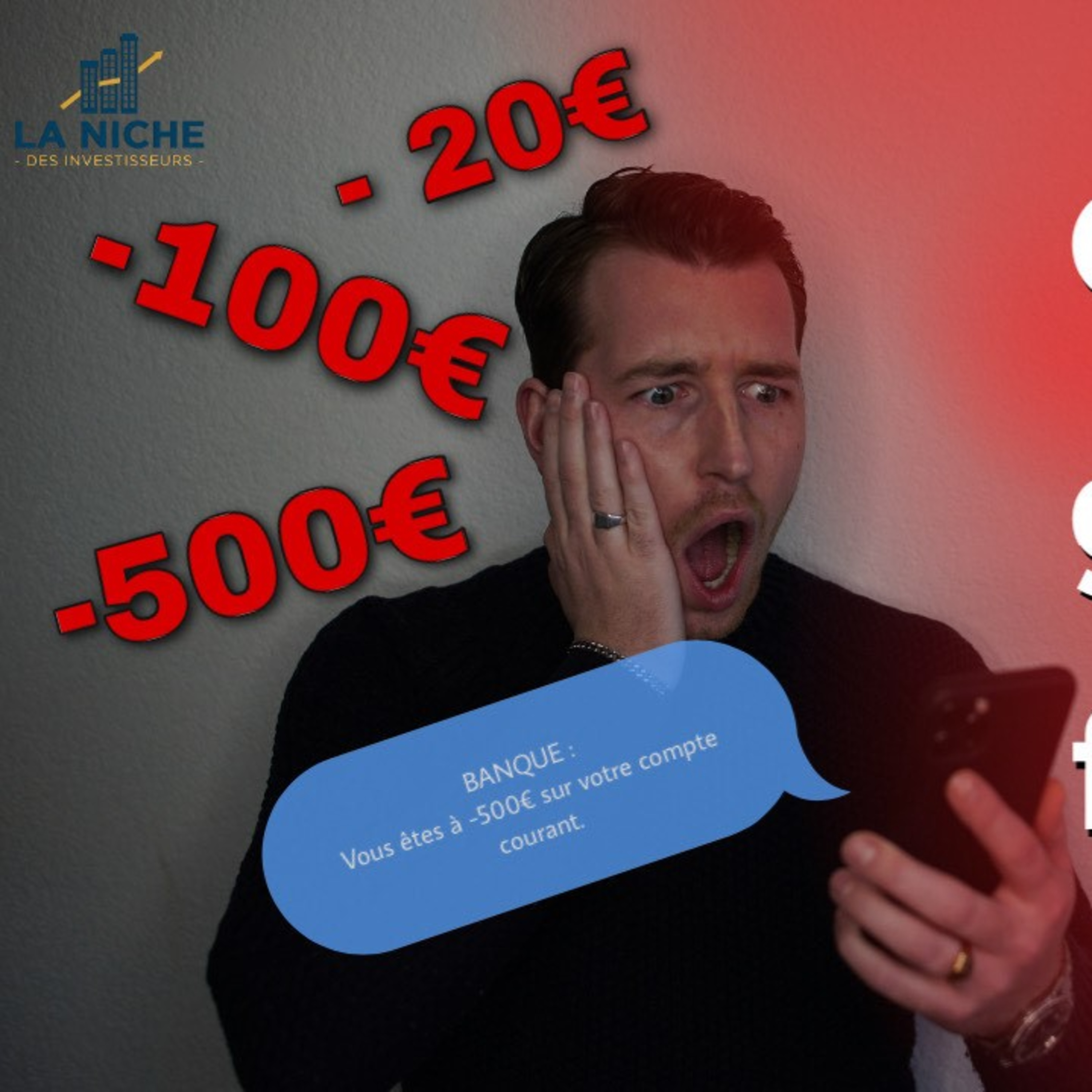 La Niche Des Investisseurs