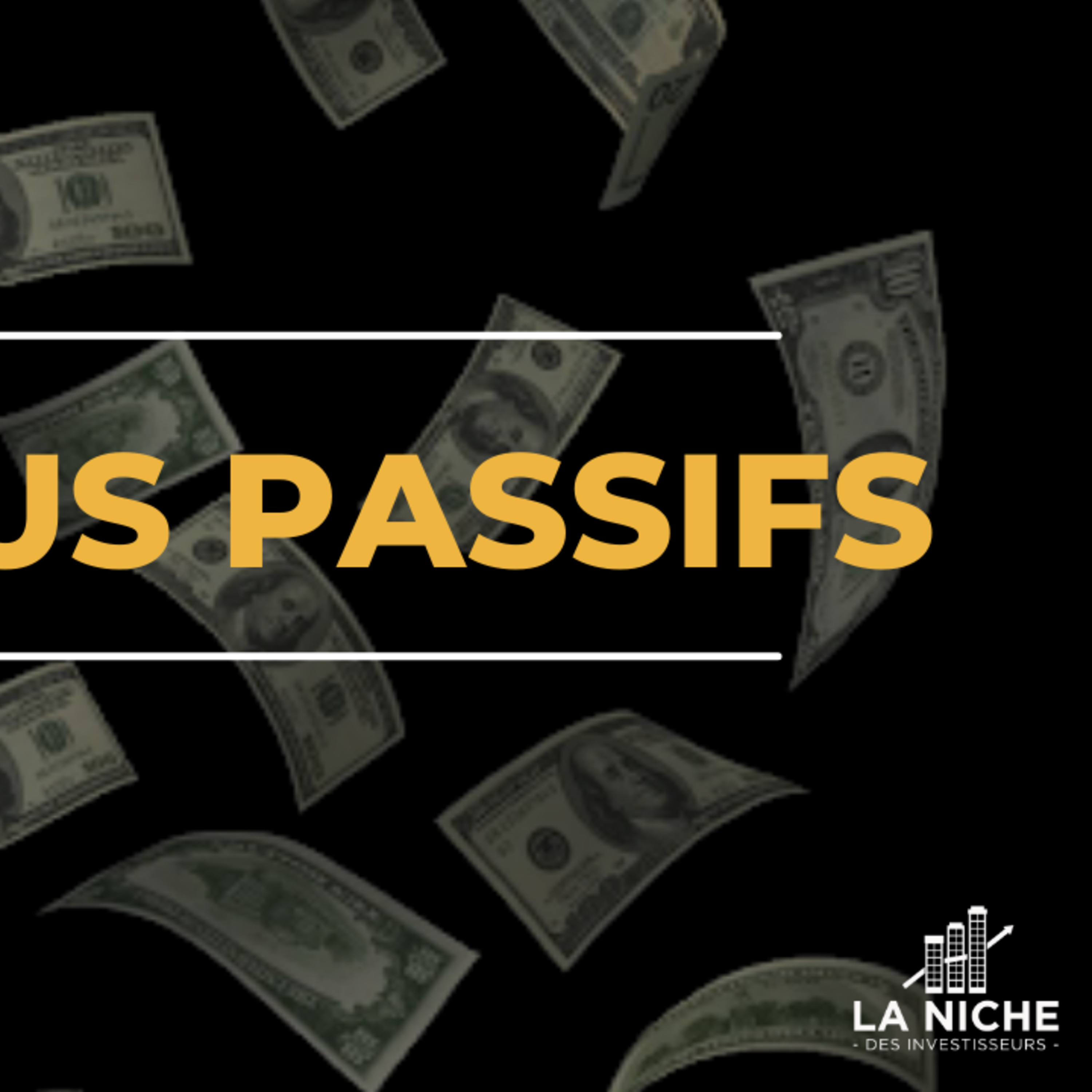 La Niche Des Investisseurs
