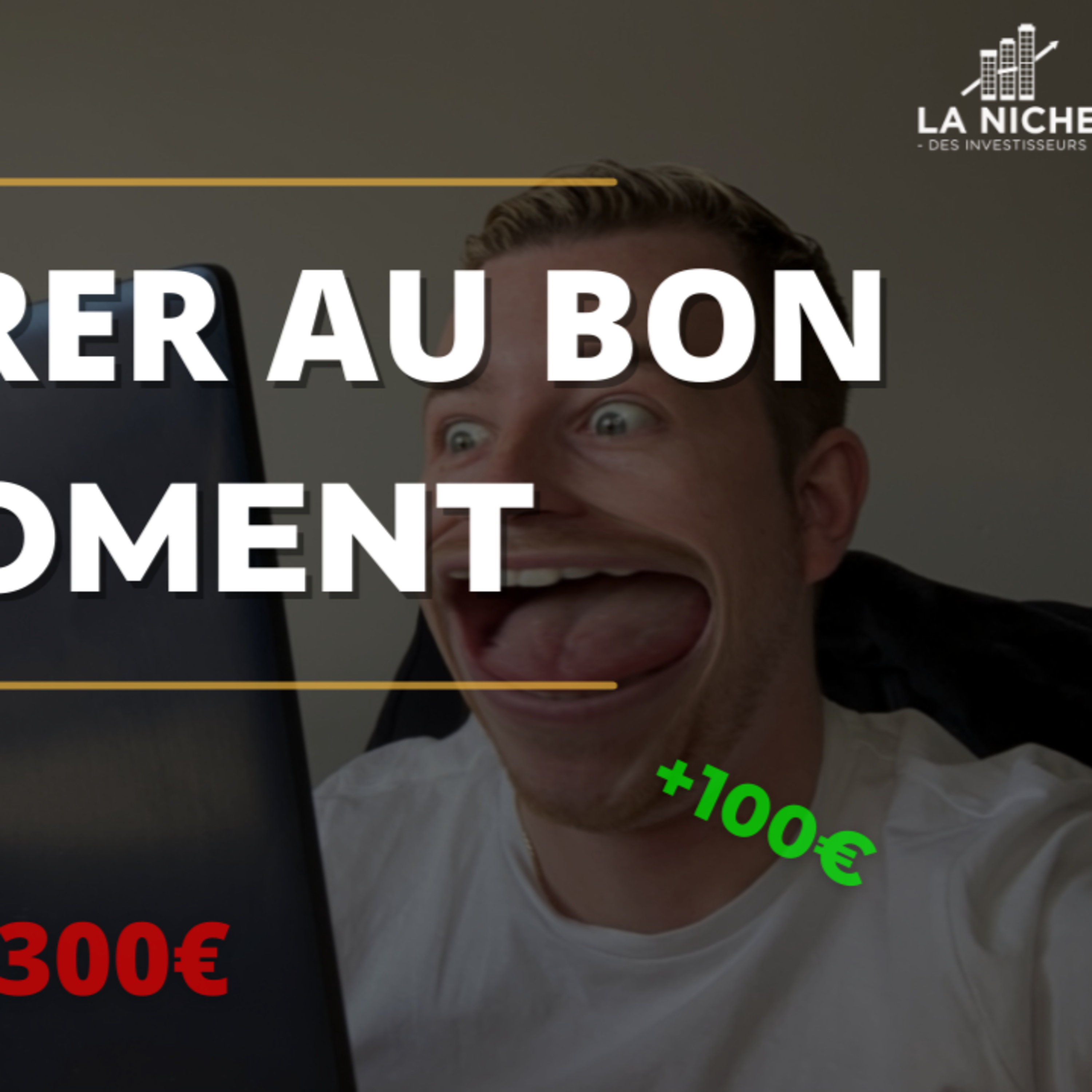 La Niche Des Investisseurs