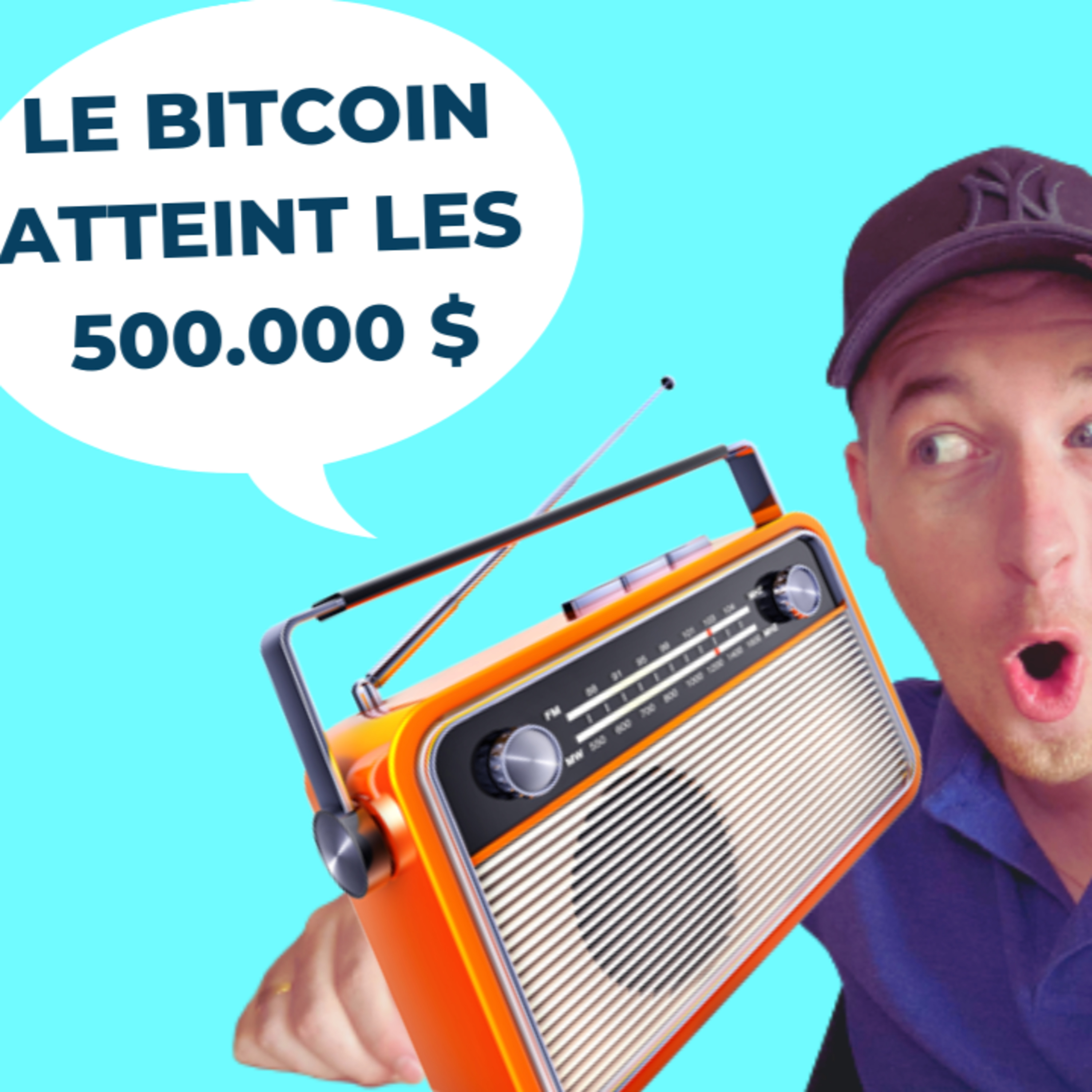 La Niche Des Investisseurs