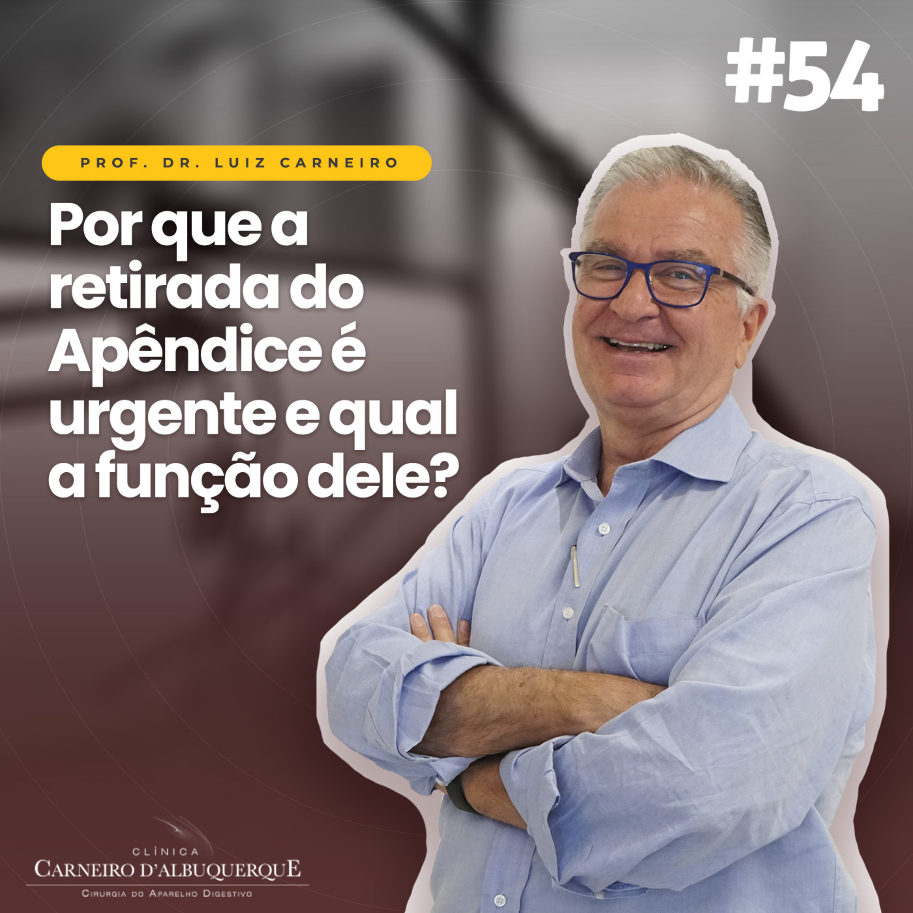 Prof. Dr. Luiz Carneiro - Cirurgião do Aparelho Digestivo