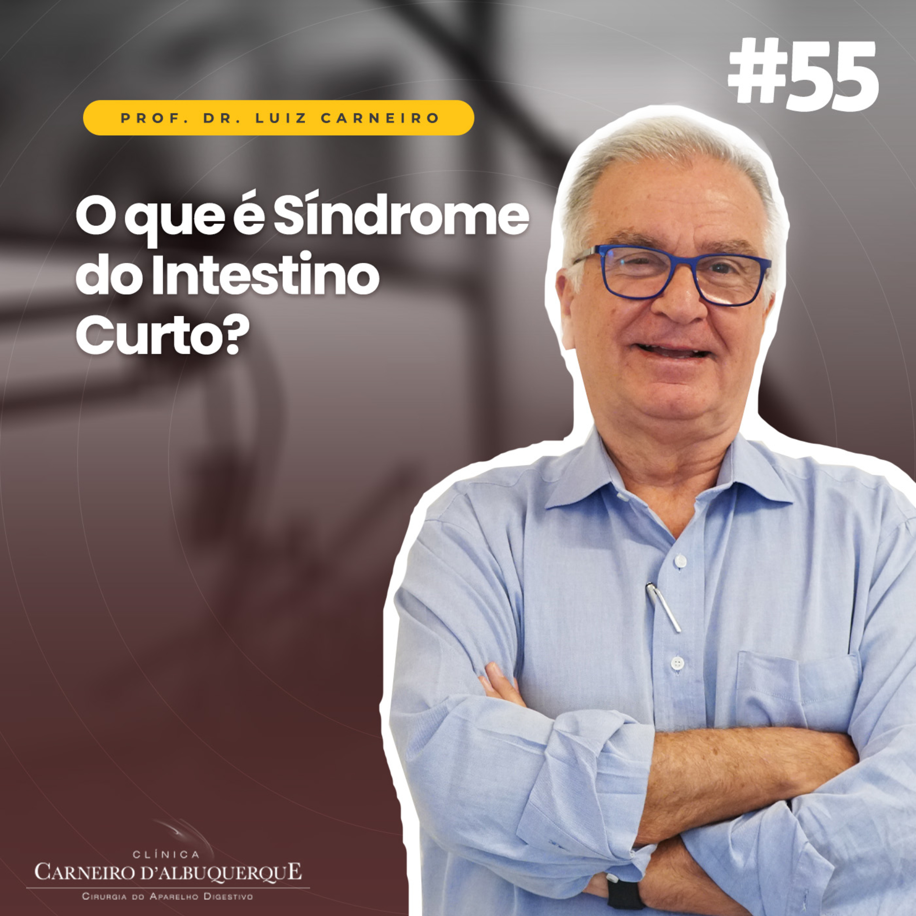 Prof. Dr. Luiz Carneiro - Cirurgião do Aparelho Digestivo