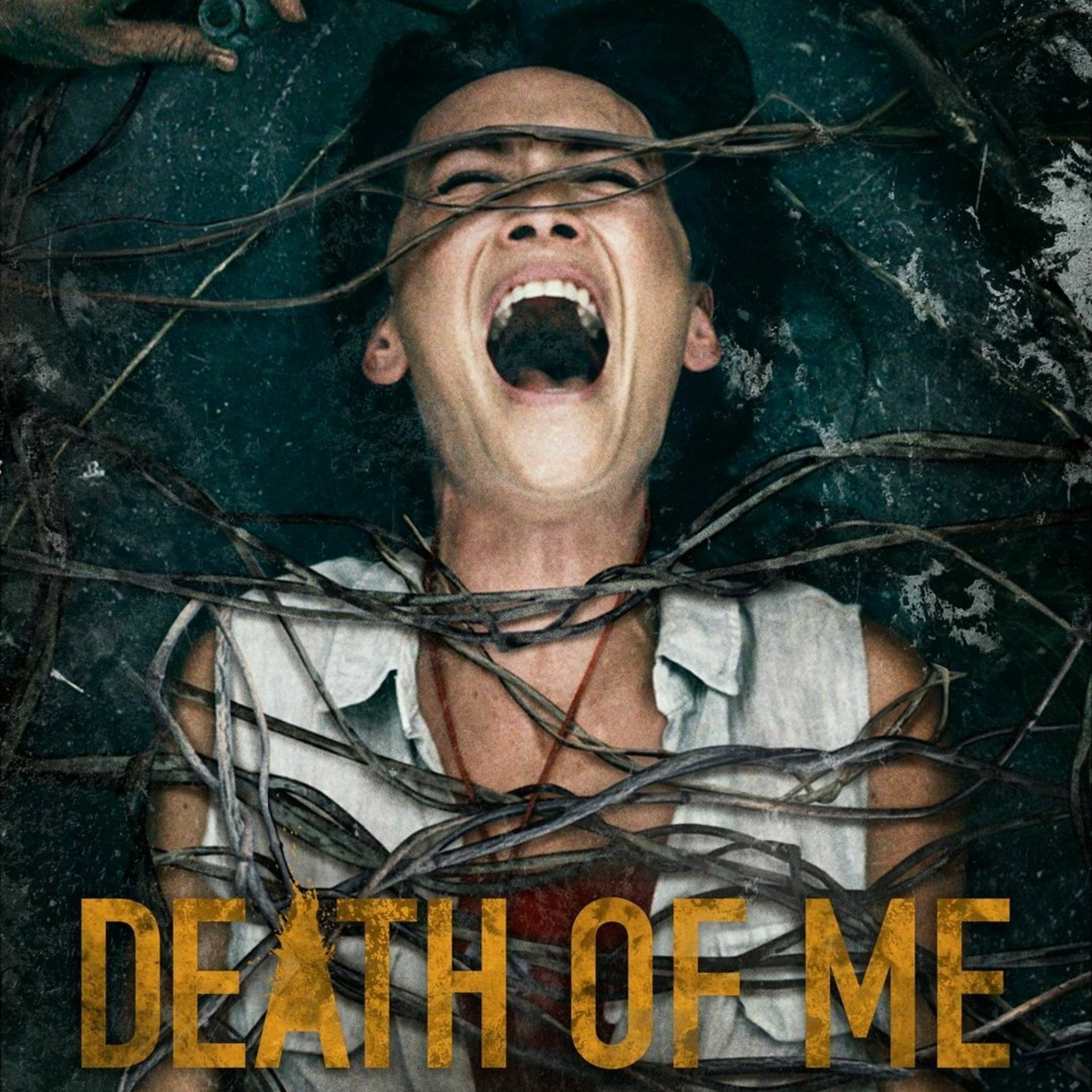 Movie Freaks Reviews