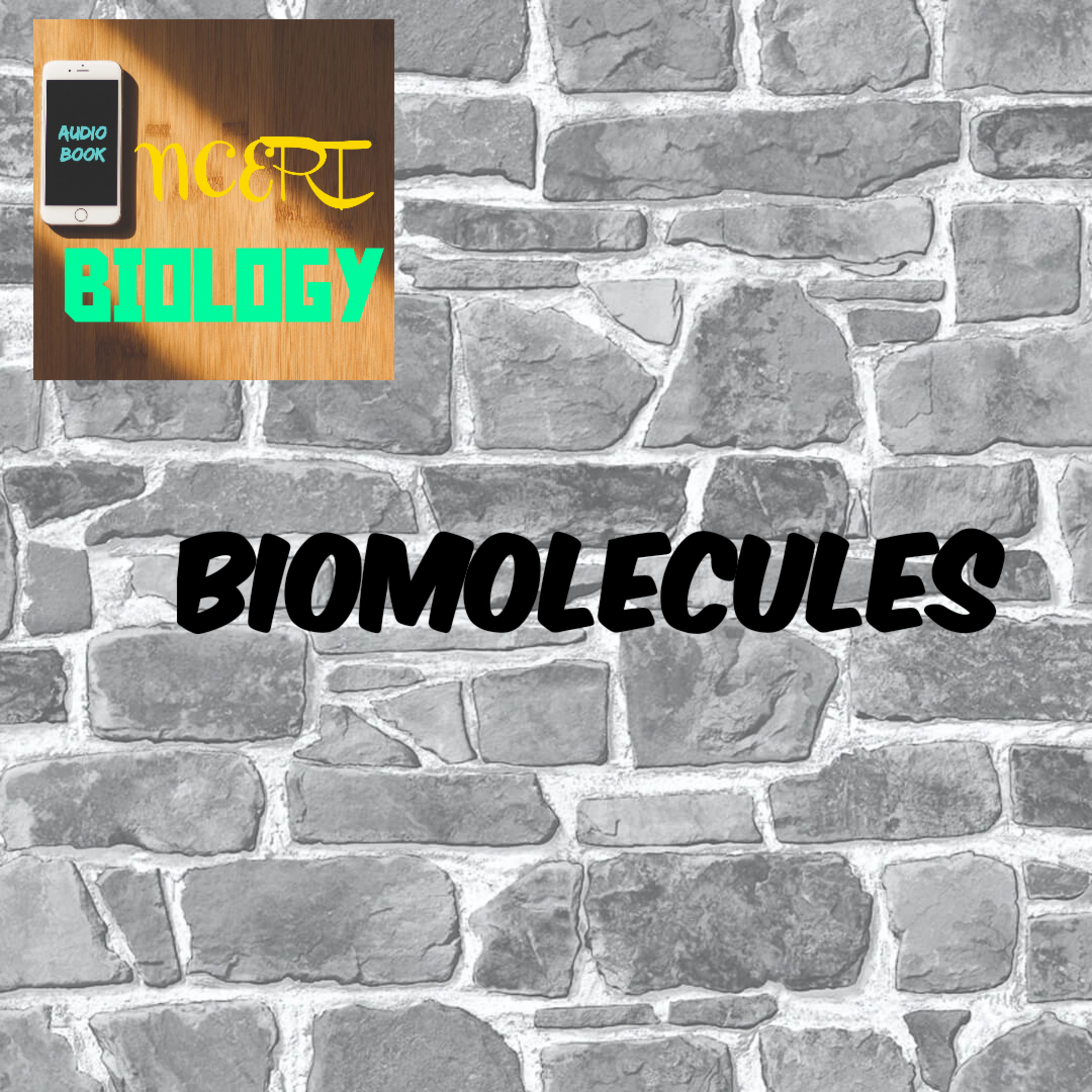 #3 Biomolecules  episode artwork