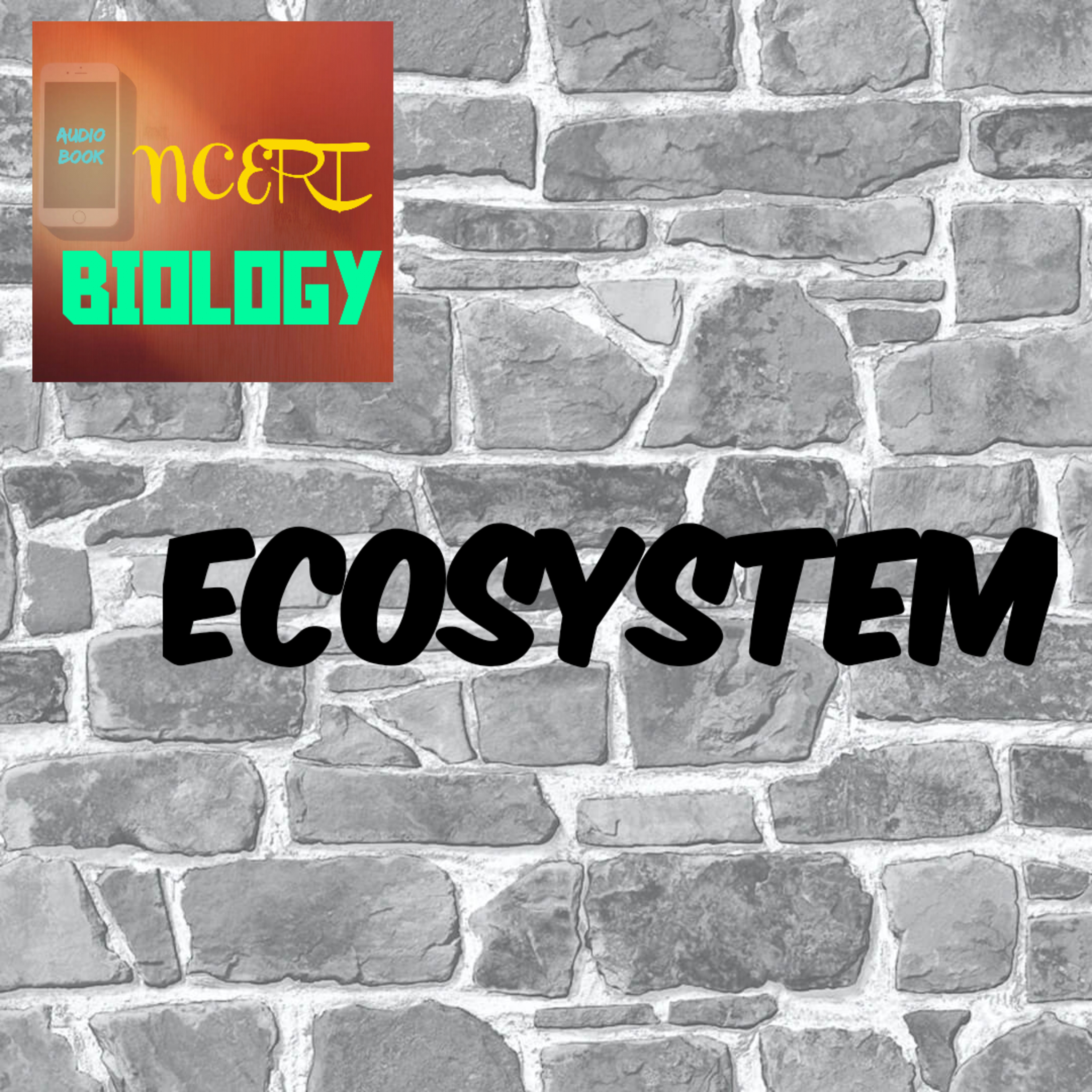 #11 Ecosystem episode artwork