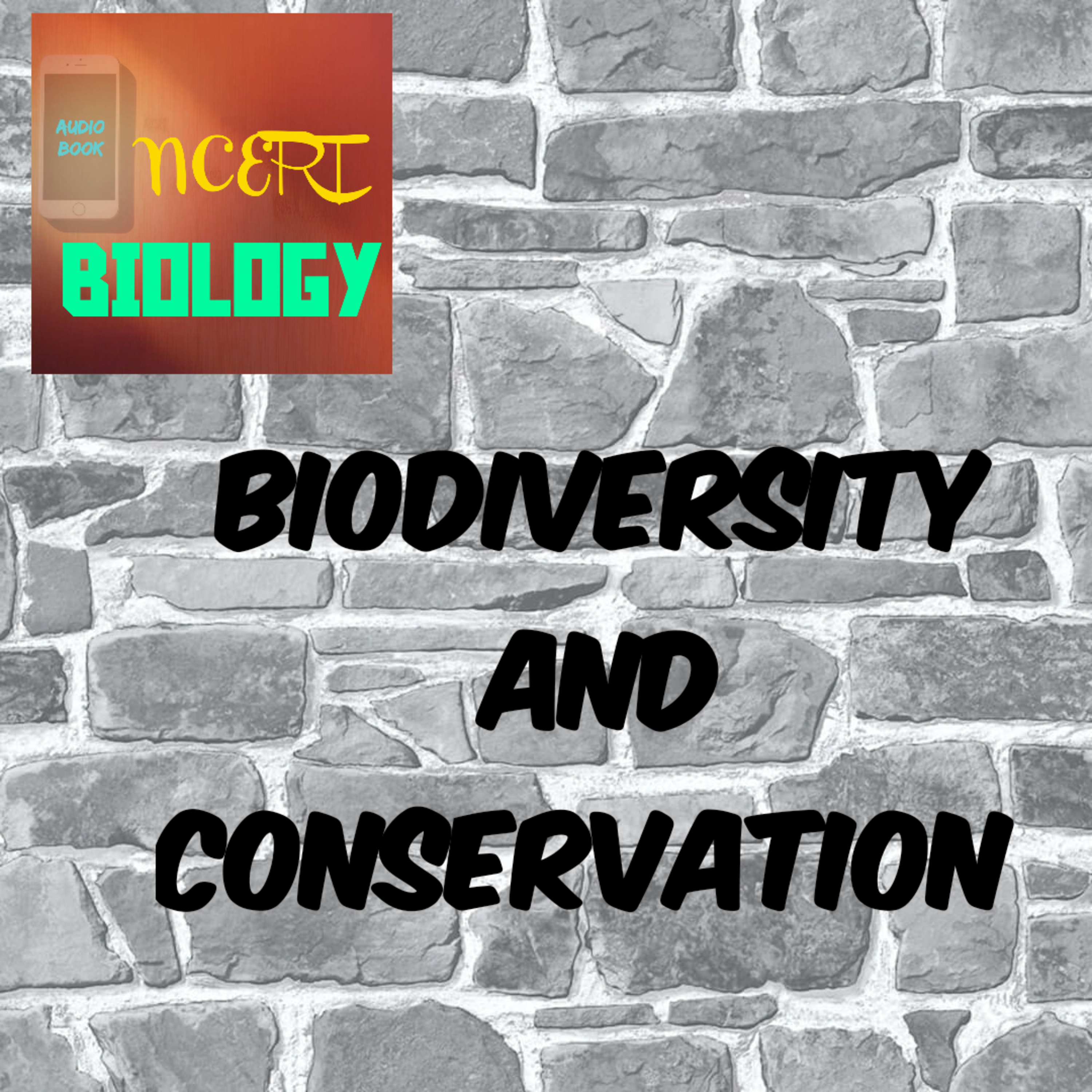 #12 Biodiversity and Conservation