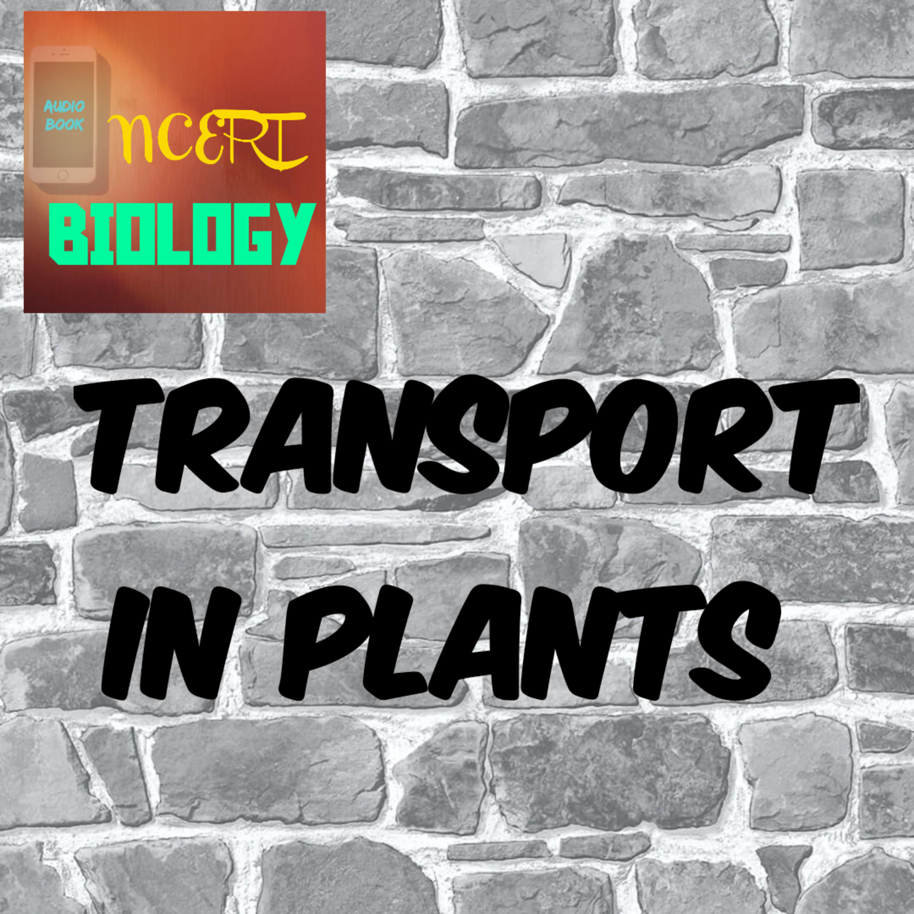 #16 Transport in Plants