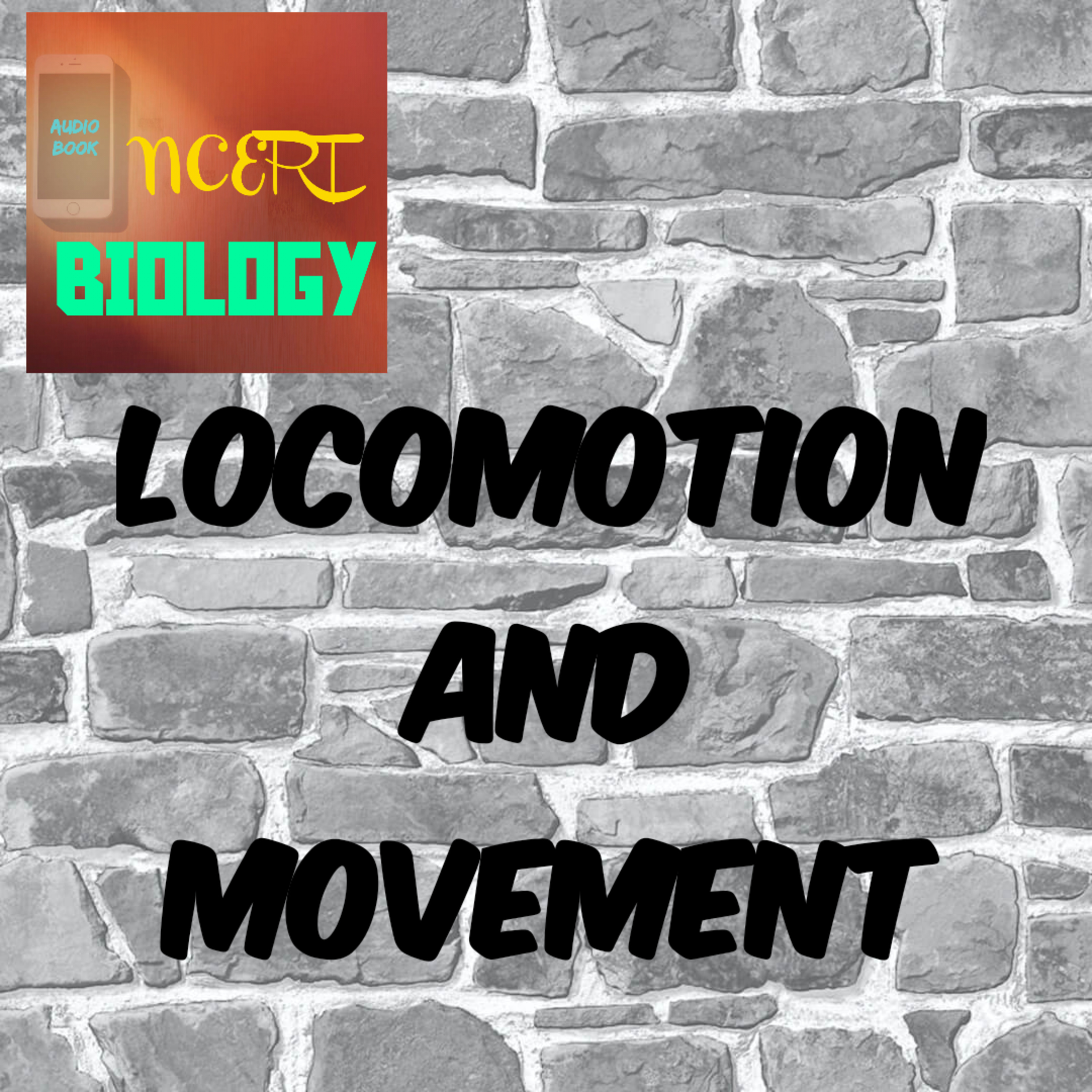 #24 Locomotion and Movement