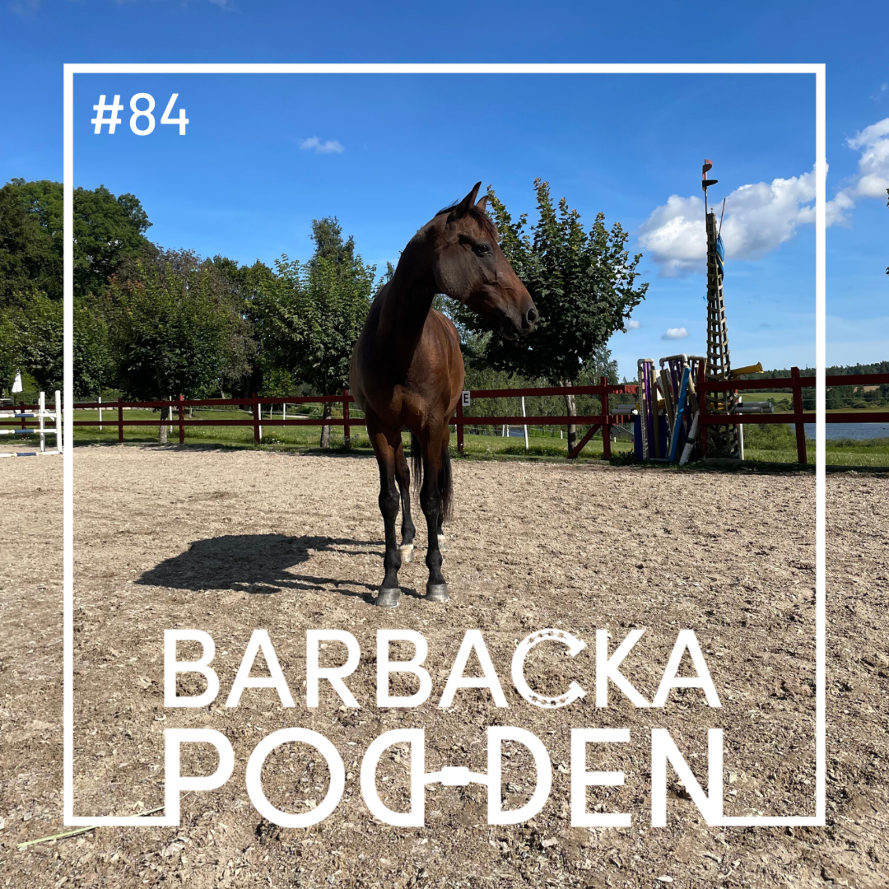 Barbackapodden
