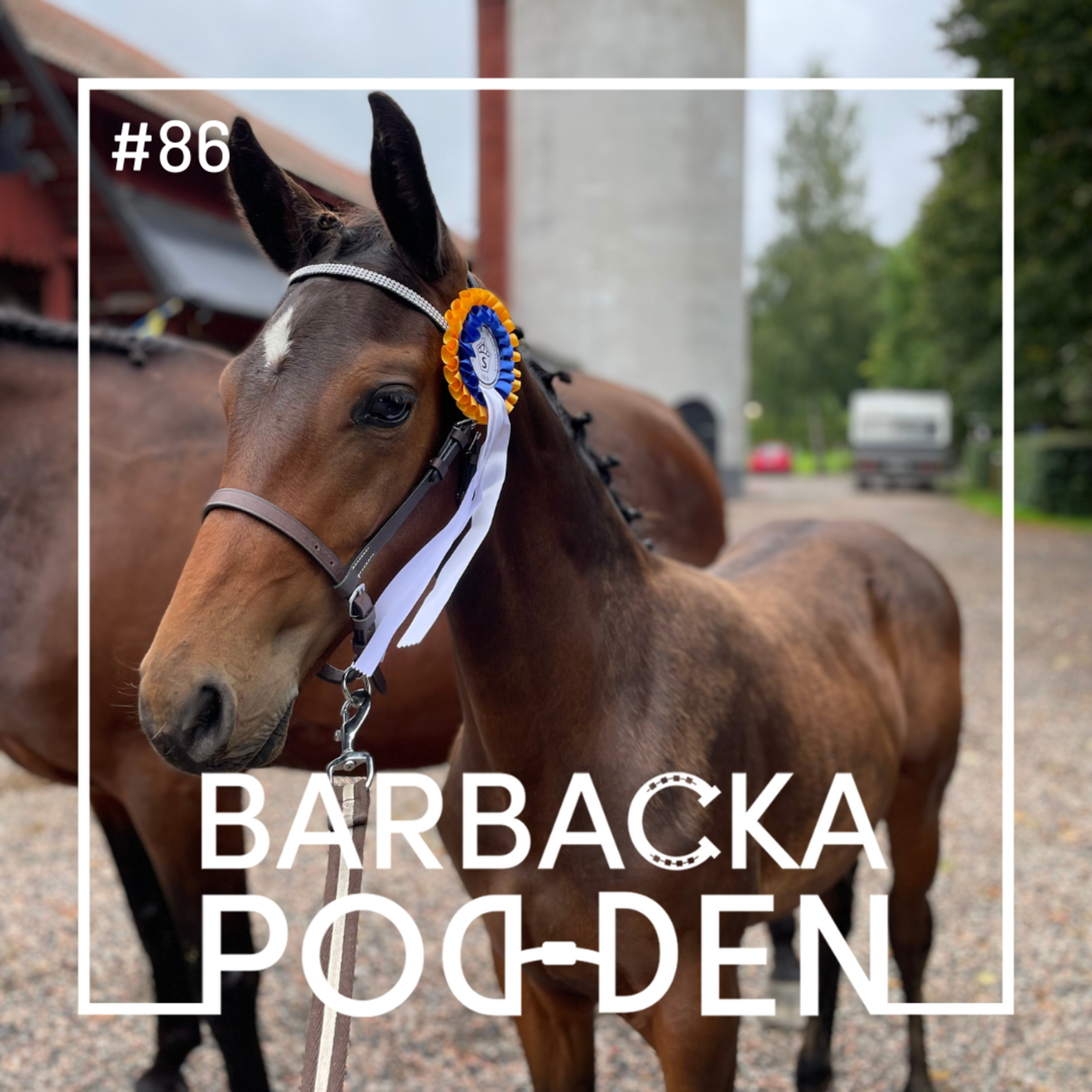 Barbackapodden