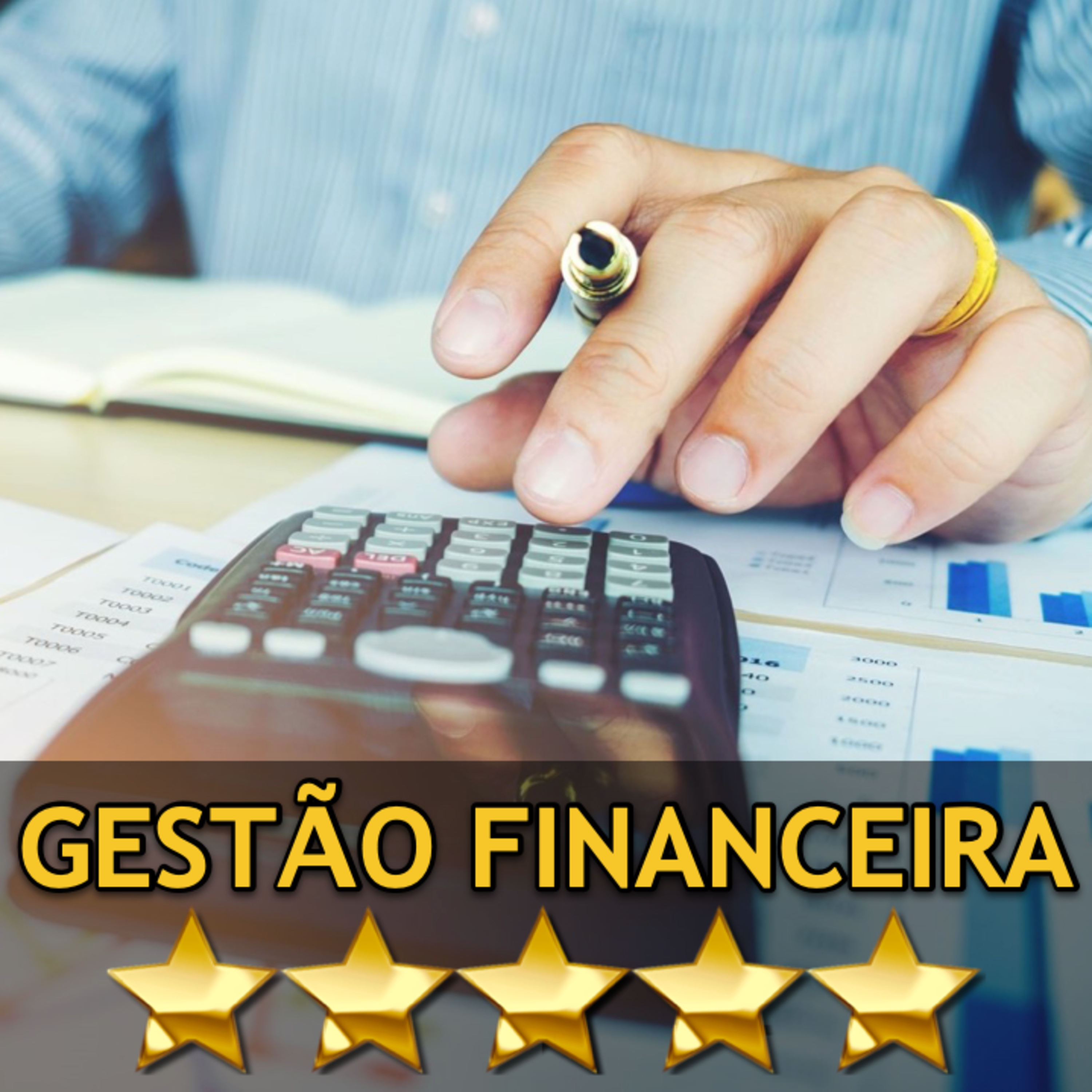 GESTÃO FINANCEIRA 5 ESTRELAS