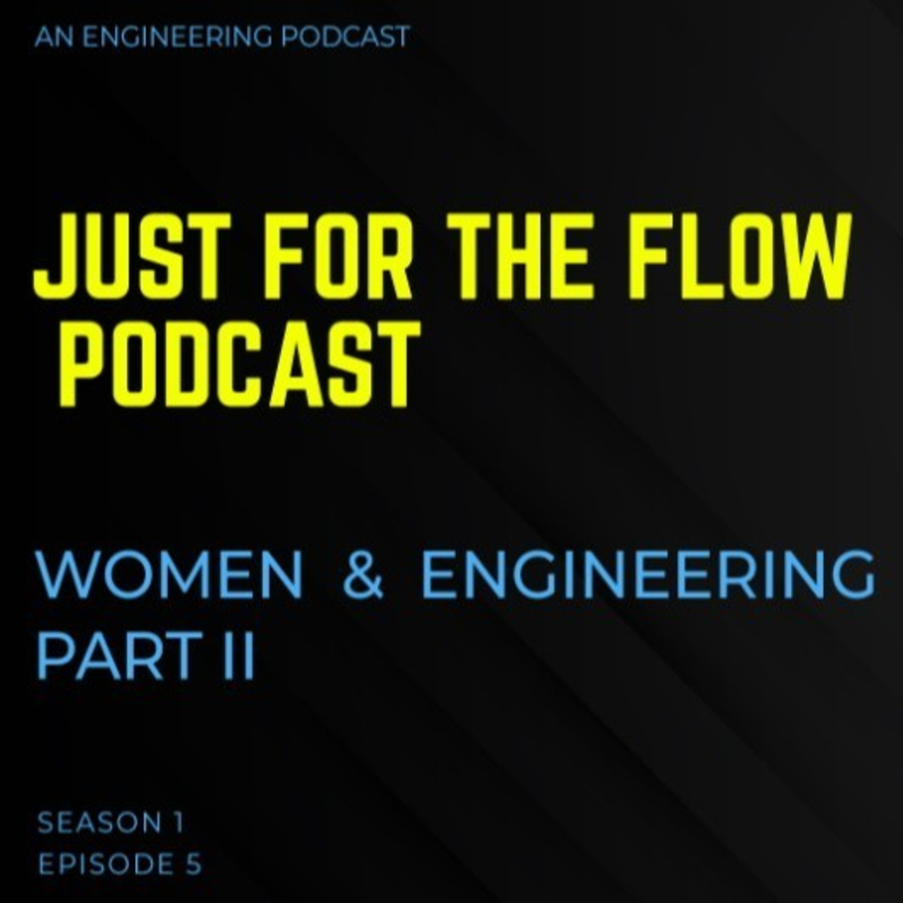 Episode 5: Women & Engineering Part II|A conversation with Fatima a Biomedical Engineer, and Miriam an Environmental Engineer