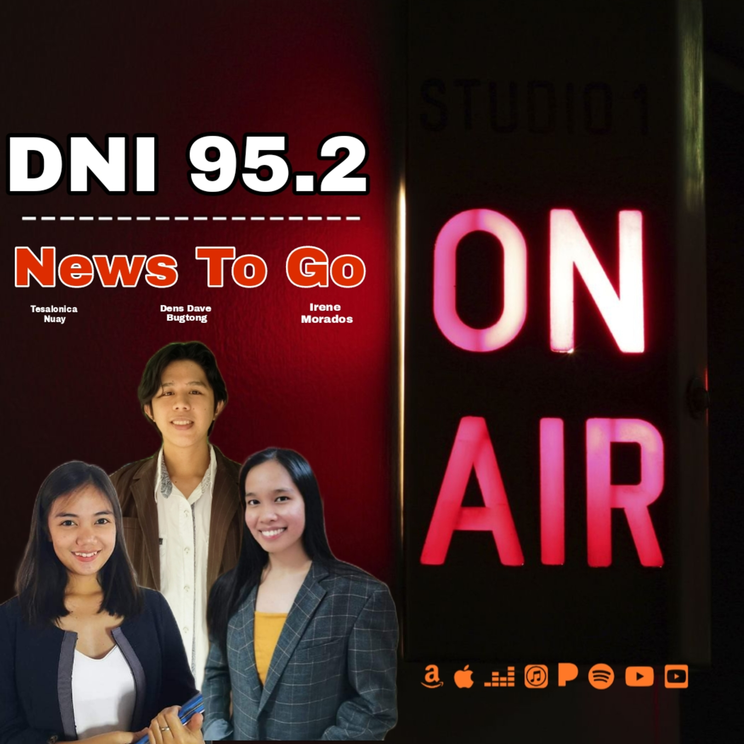 DNI 95.2 NEWS TO GO thumbnail
