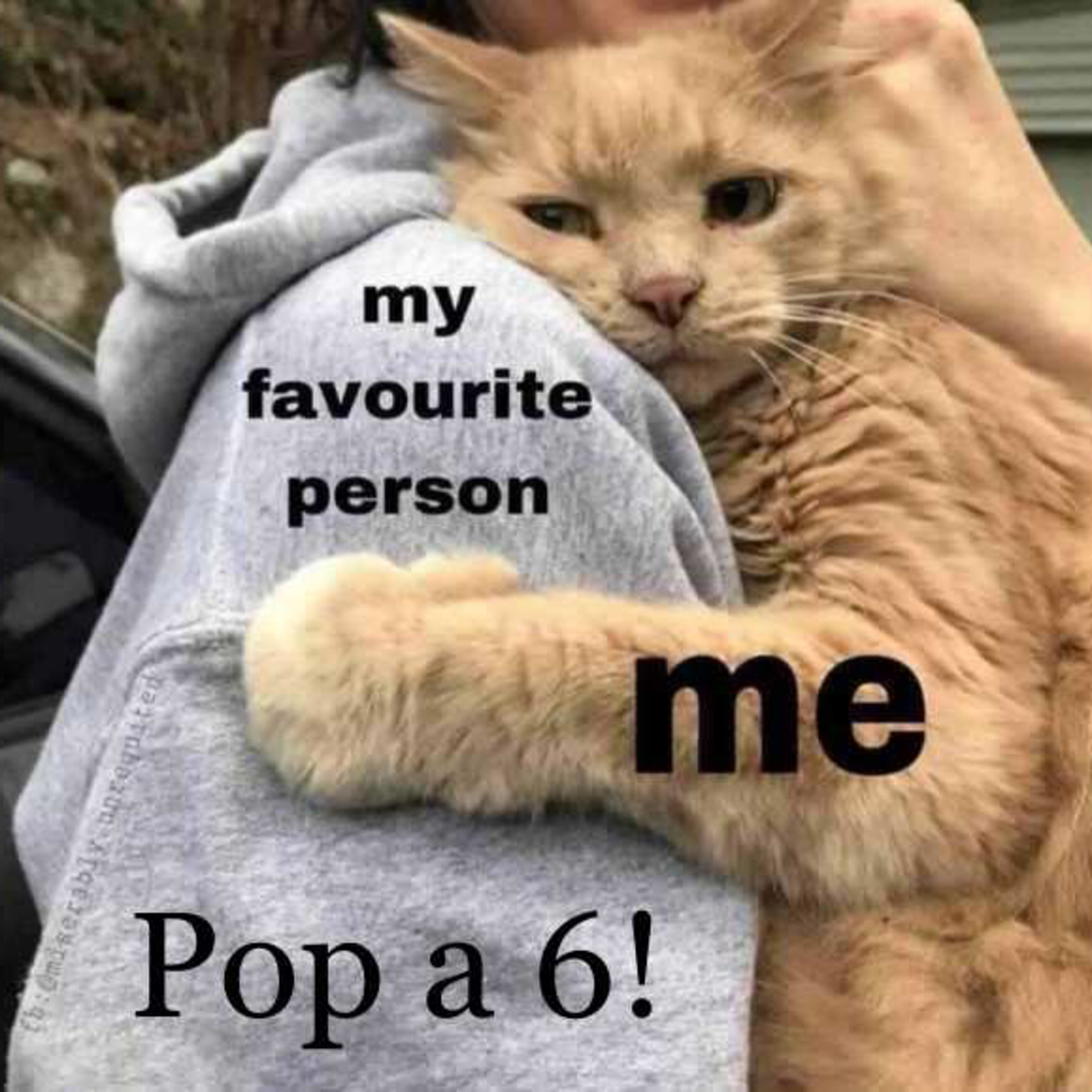 Me Is My Favorite Person episode artwork