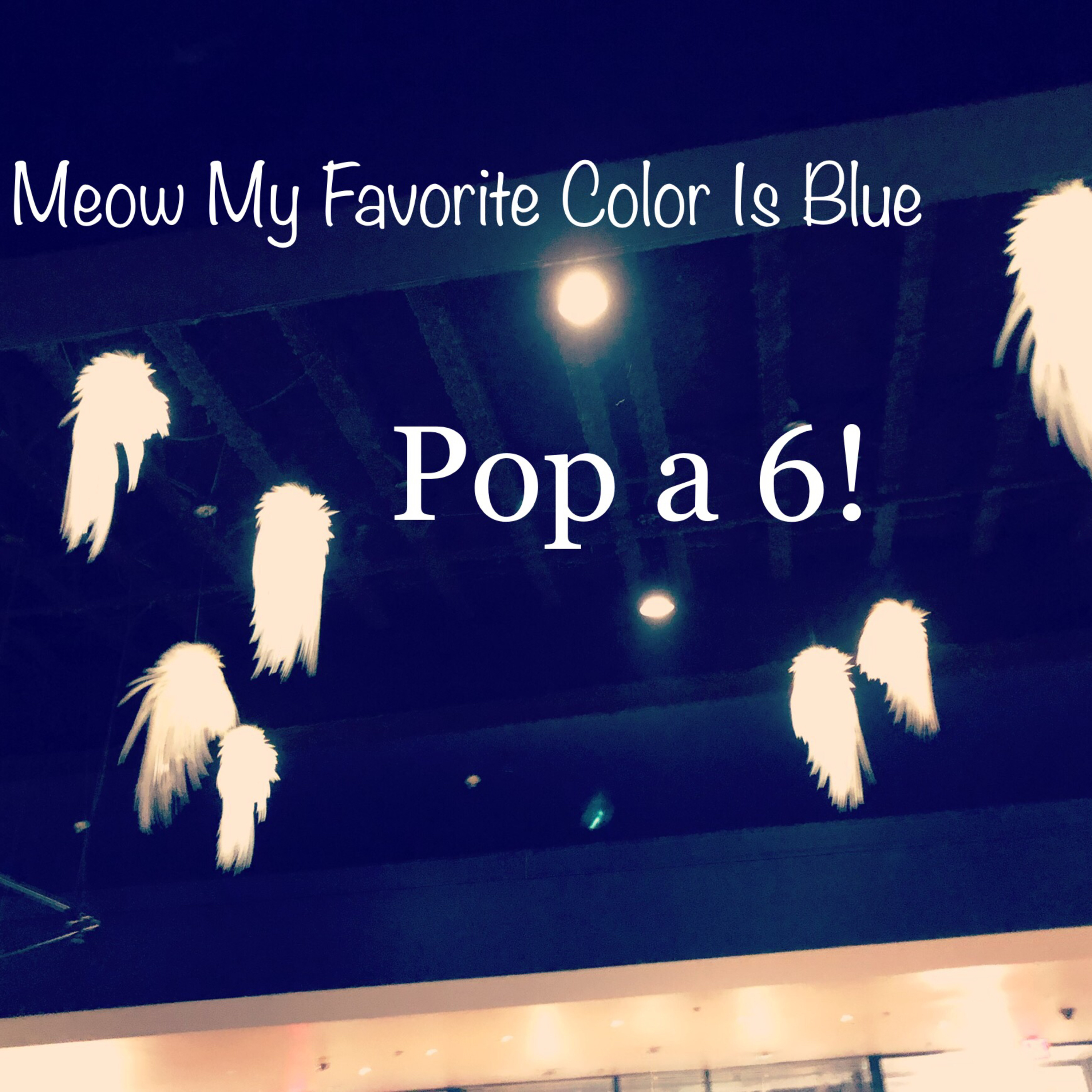 Meow My Favorite Color Is Blue episode artwork