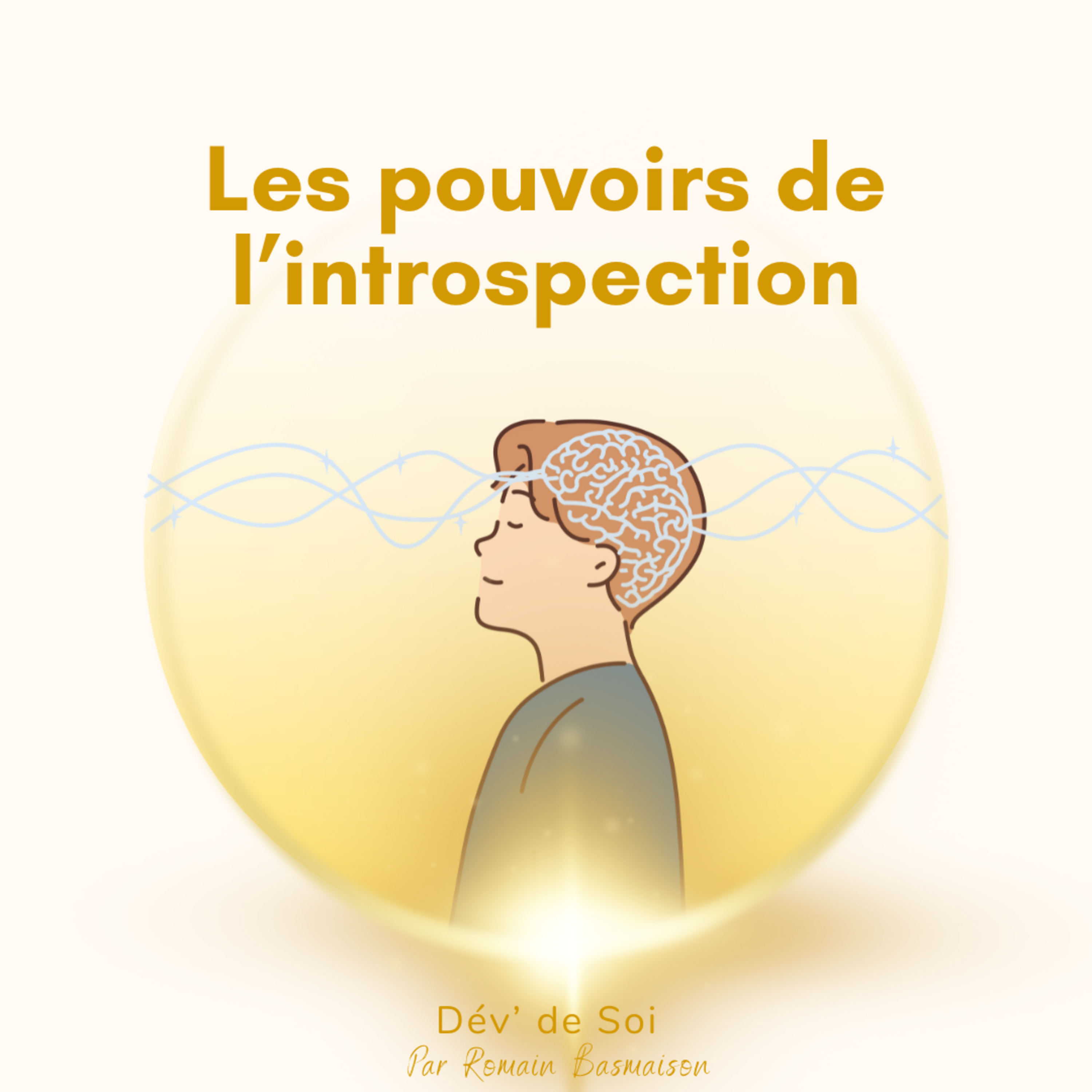 Dév\' de Soi - Sujets & Méditations