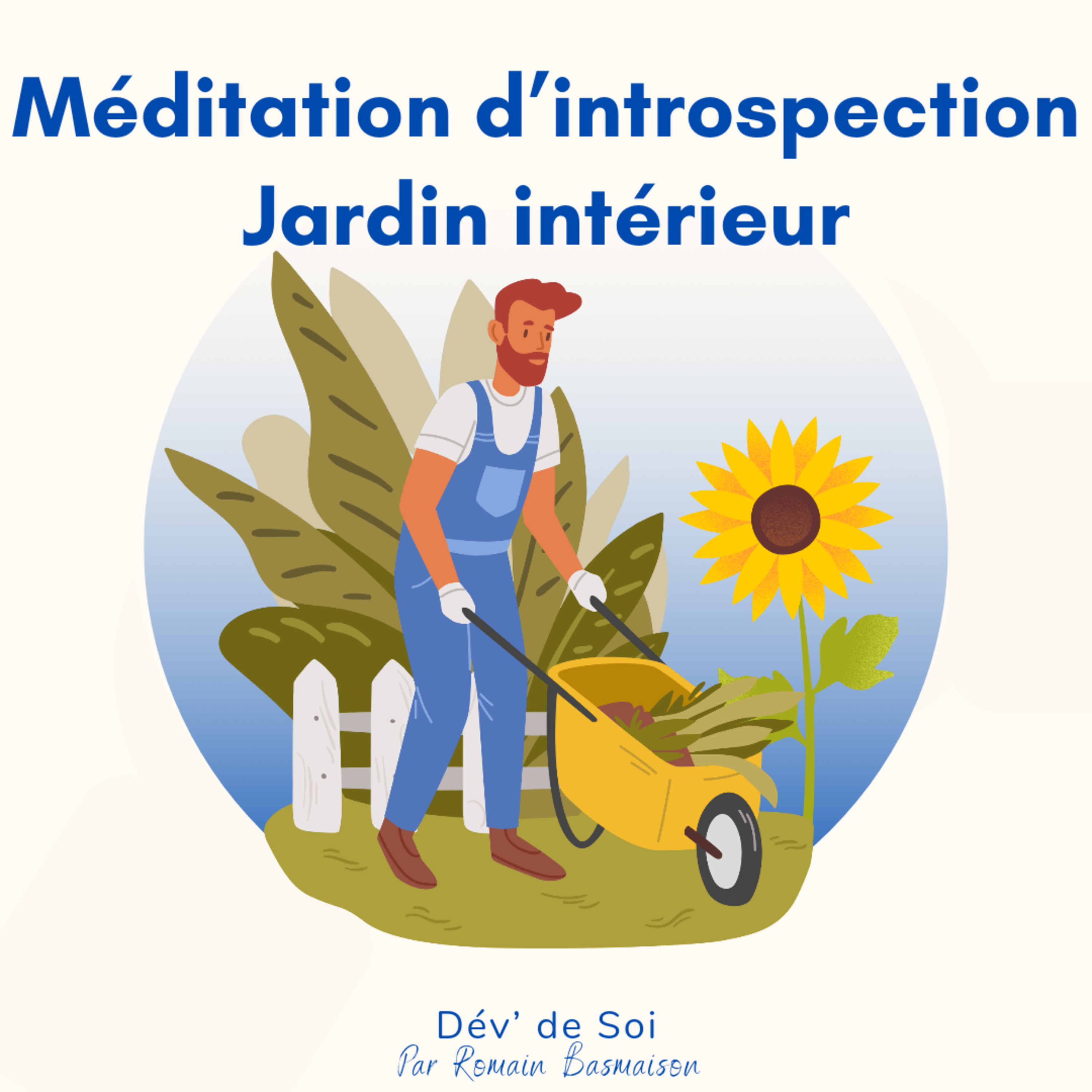 Dév\' de Soi - Sujets & Méditations