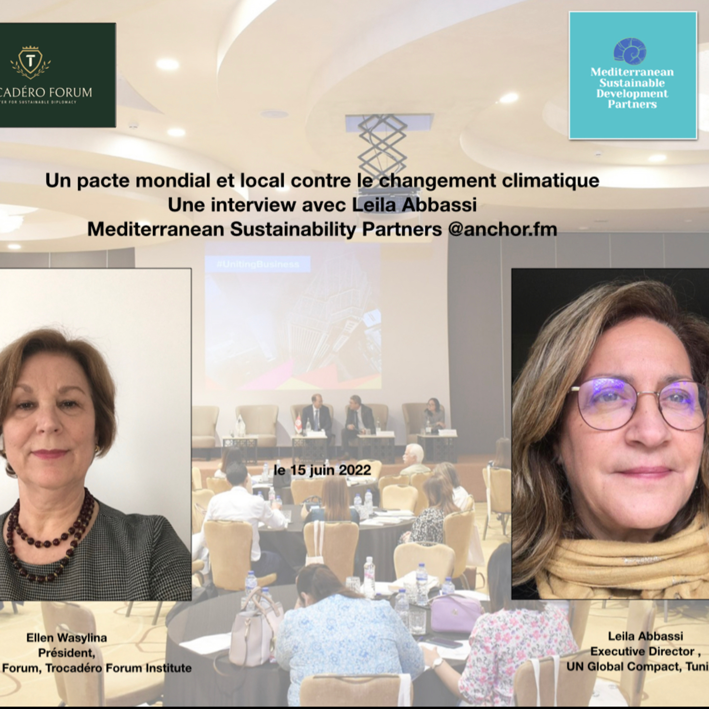 Mediterranean Sustainability Partners