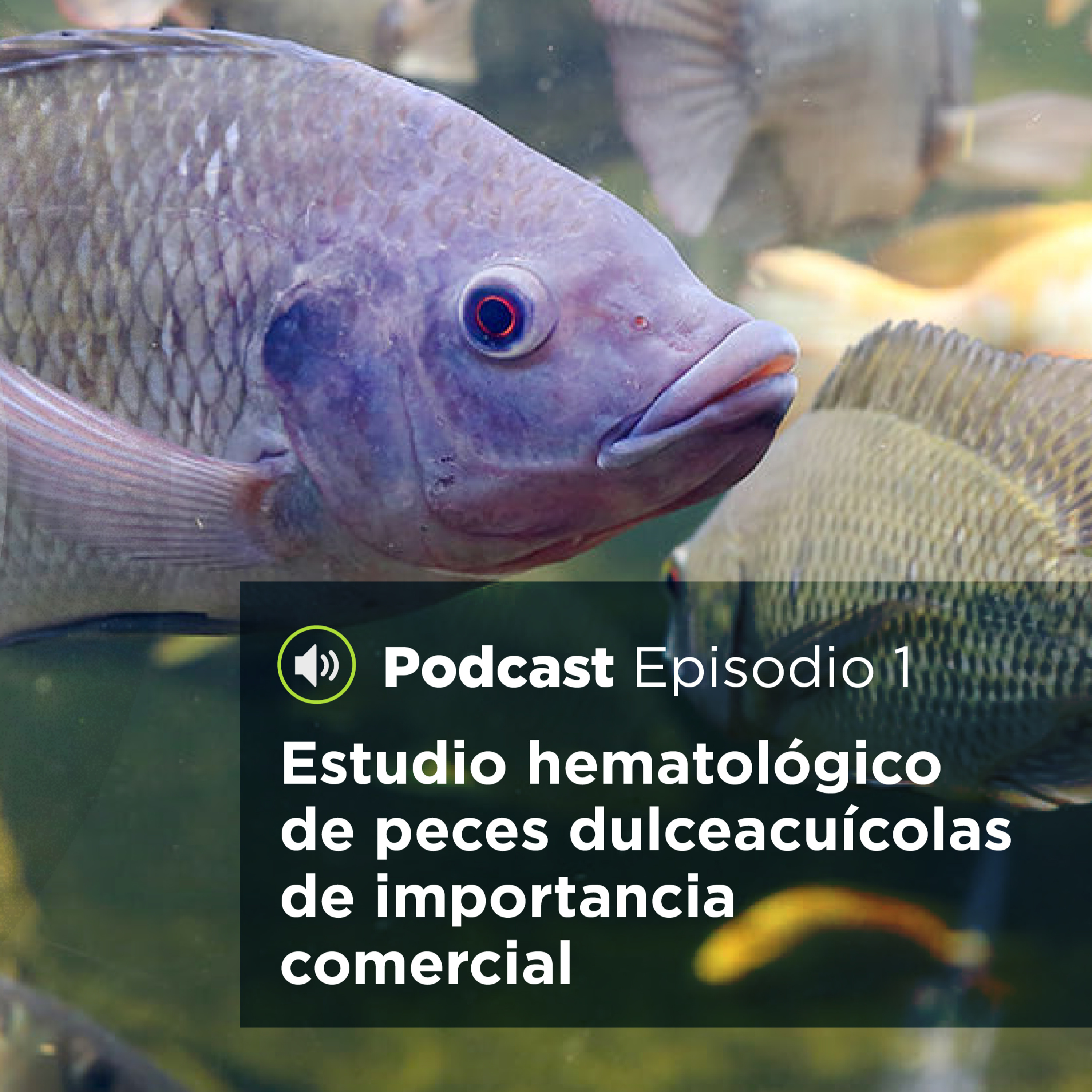 UJATConCiencia